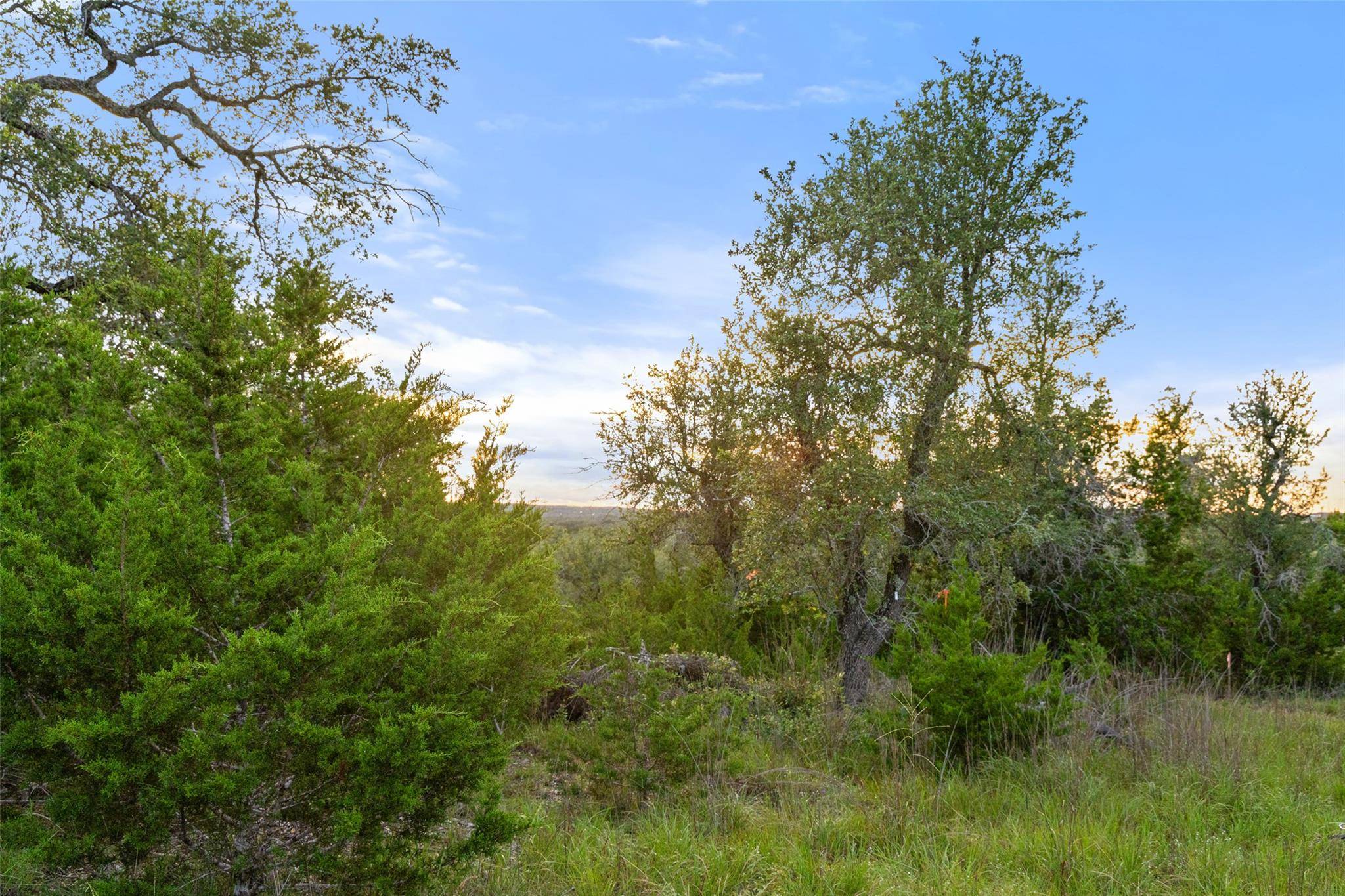 32000 Mirela Ann RD, Dripping Springs, TX 78620