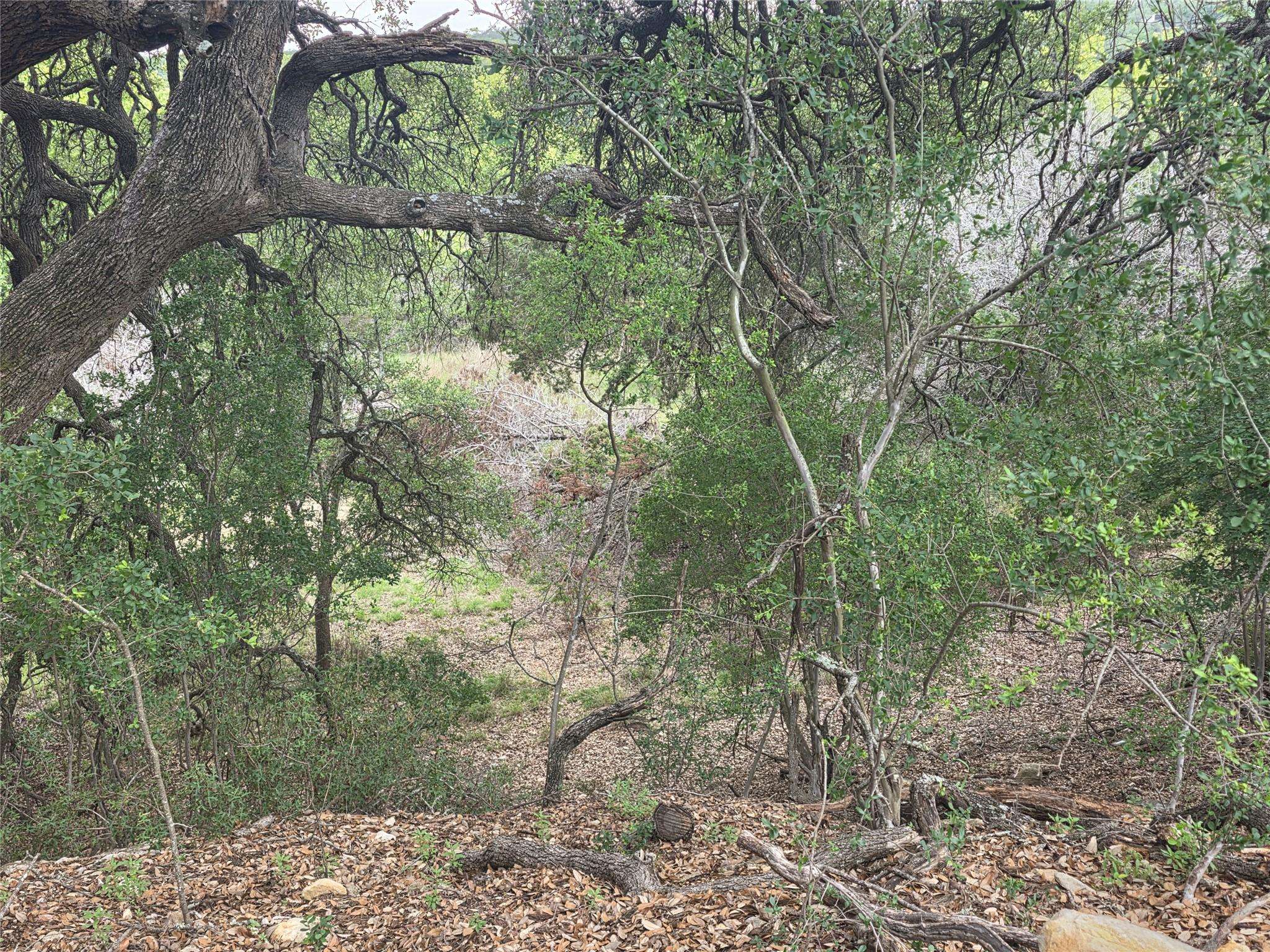 TBD Sycamore Creek DR, Dripping Springs, TX 78620
