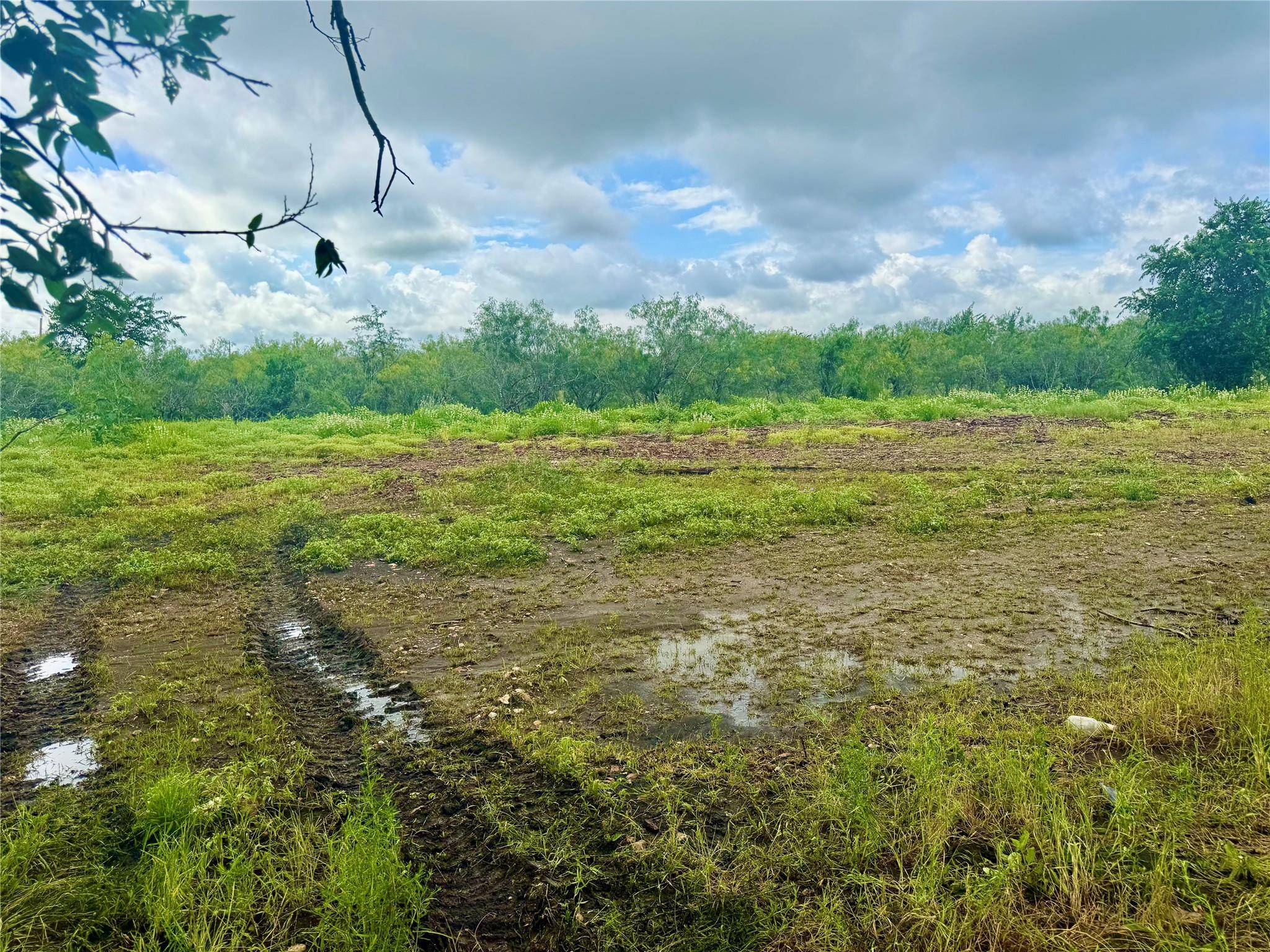 00 Engelke RD, Kyle, TX 78640