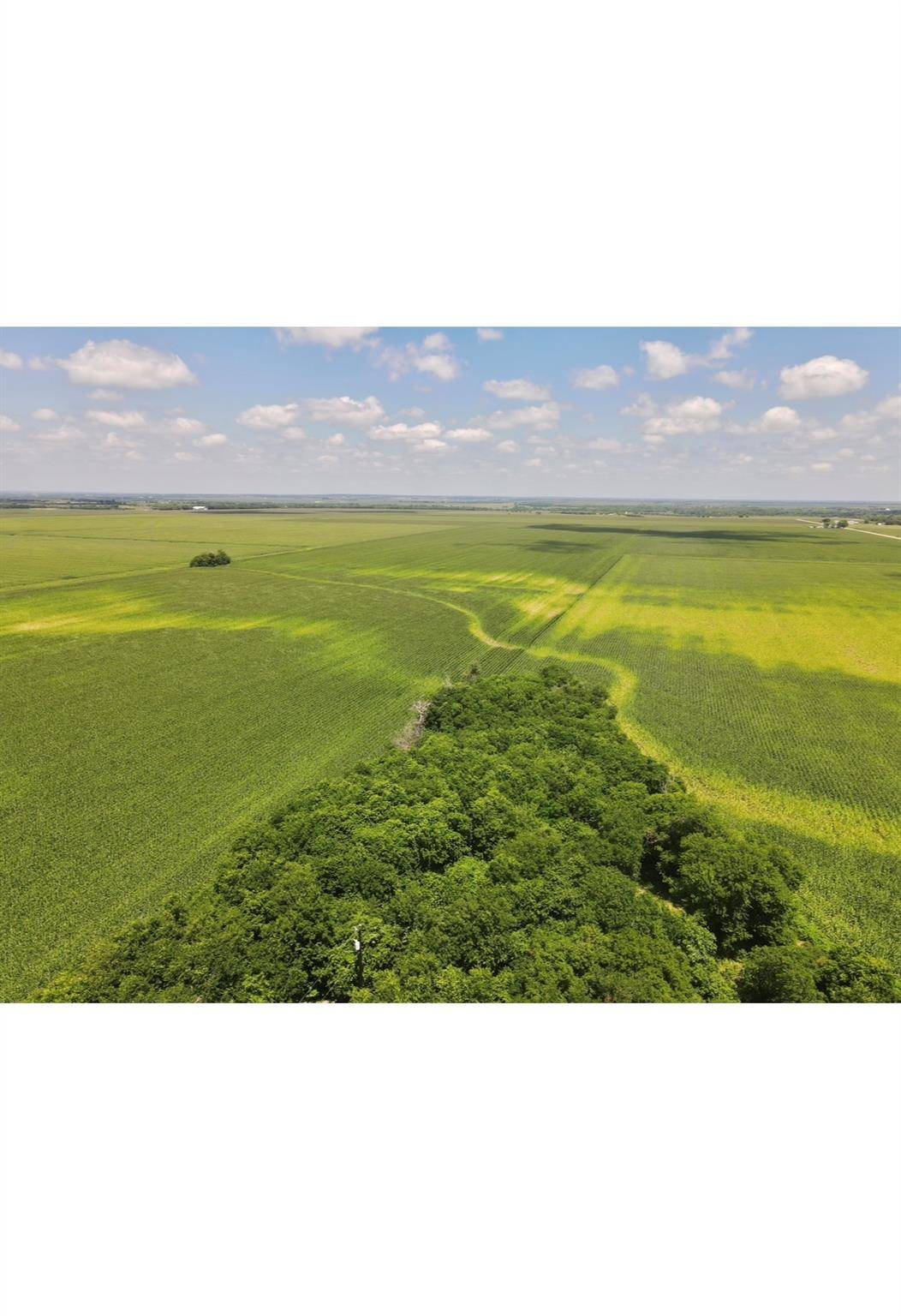 13732 Chandler RD, Taylor, TX 76574