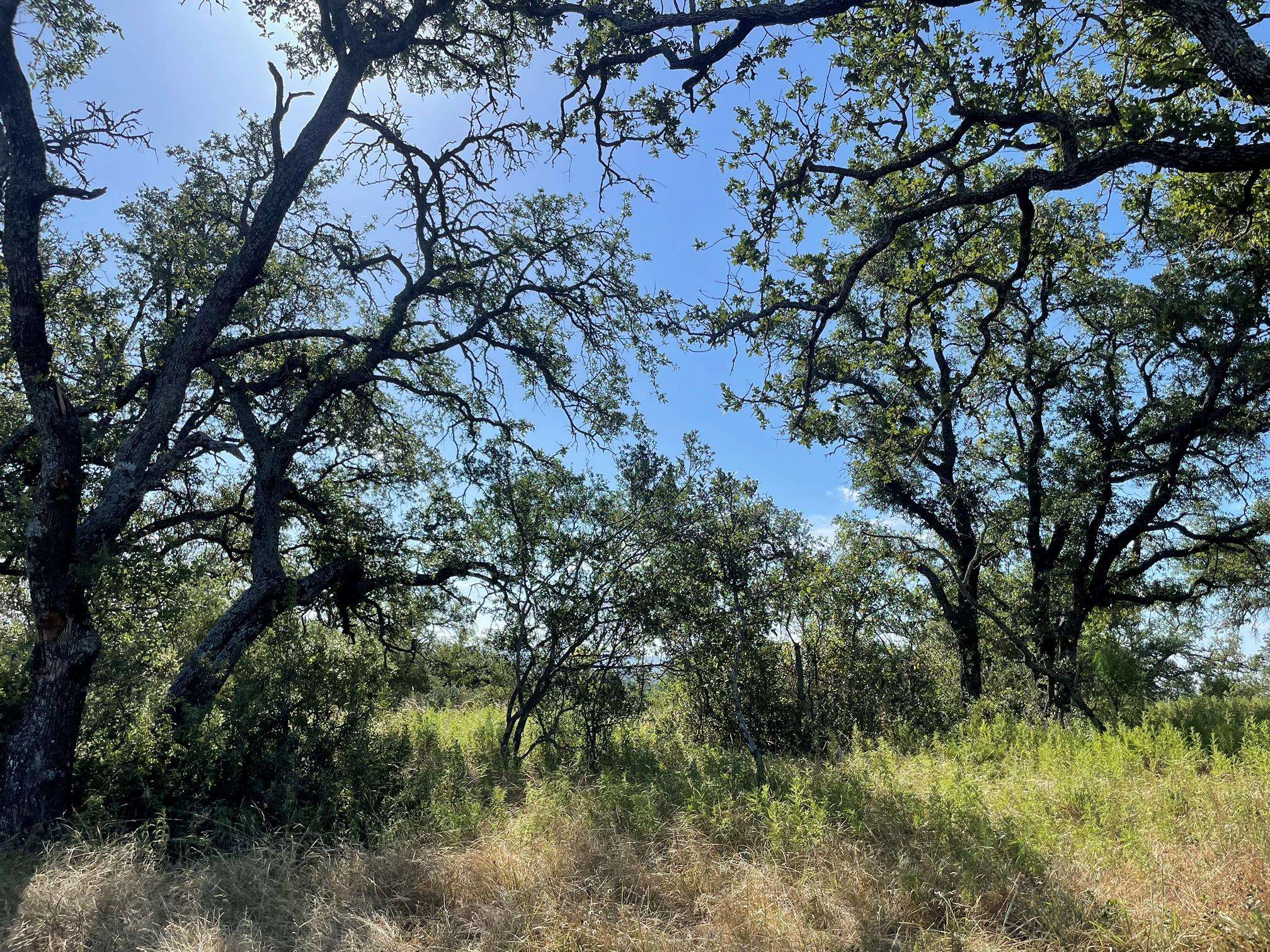 Lot 22 Legacy Ridge, Burnet, TX 78611