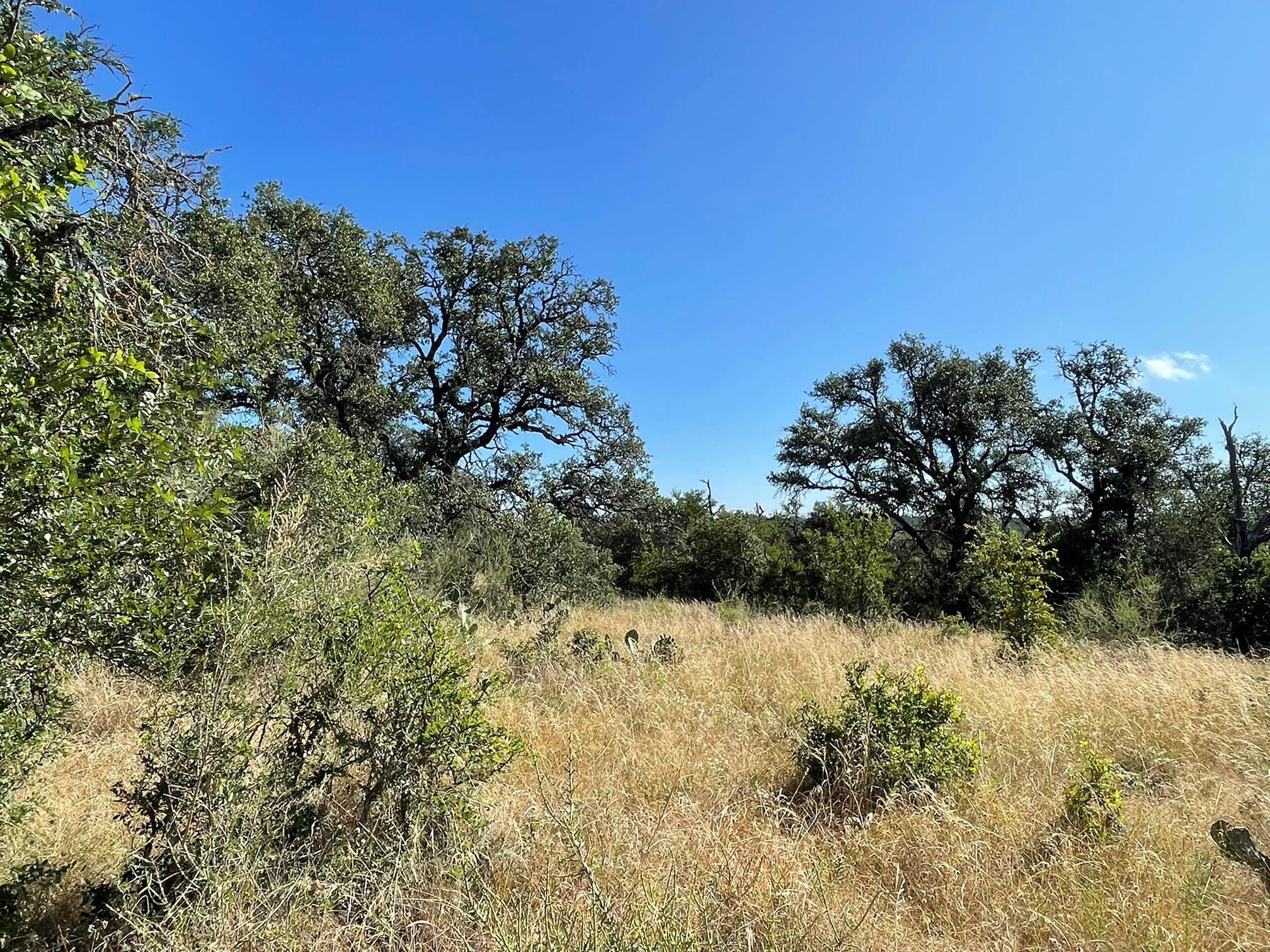 Lot 22 Legacy Ridge, Burnet, TX 78611