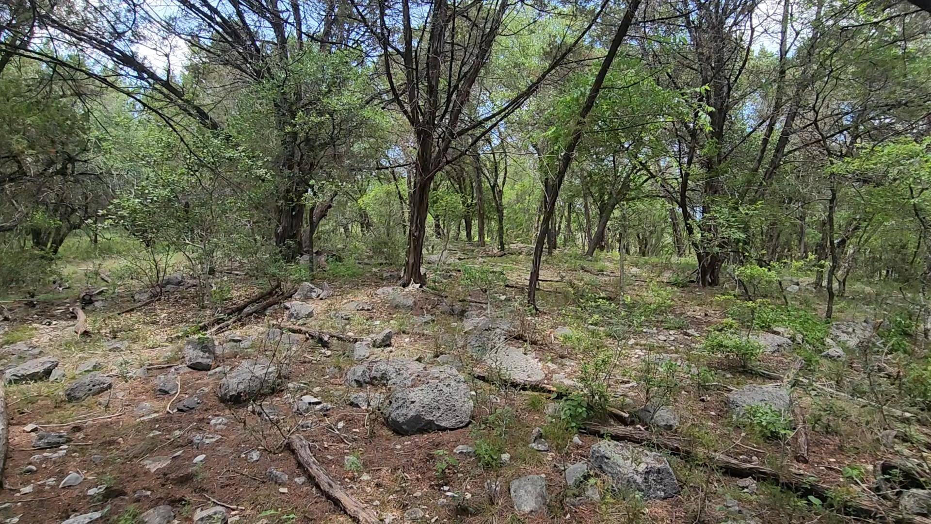 410 Owl Hollow RD, San Marcos, TX 78666