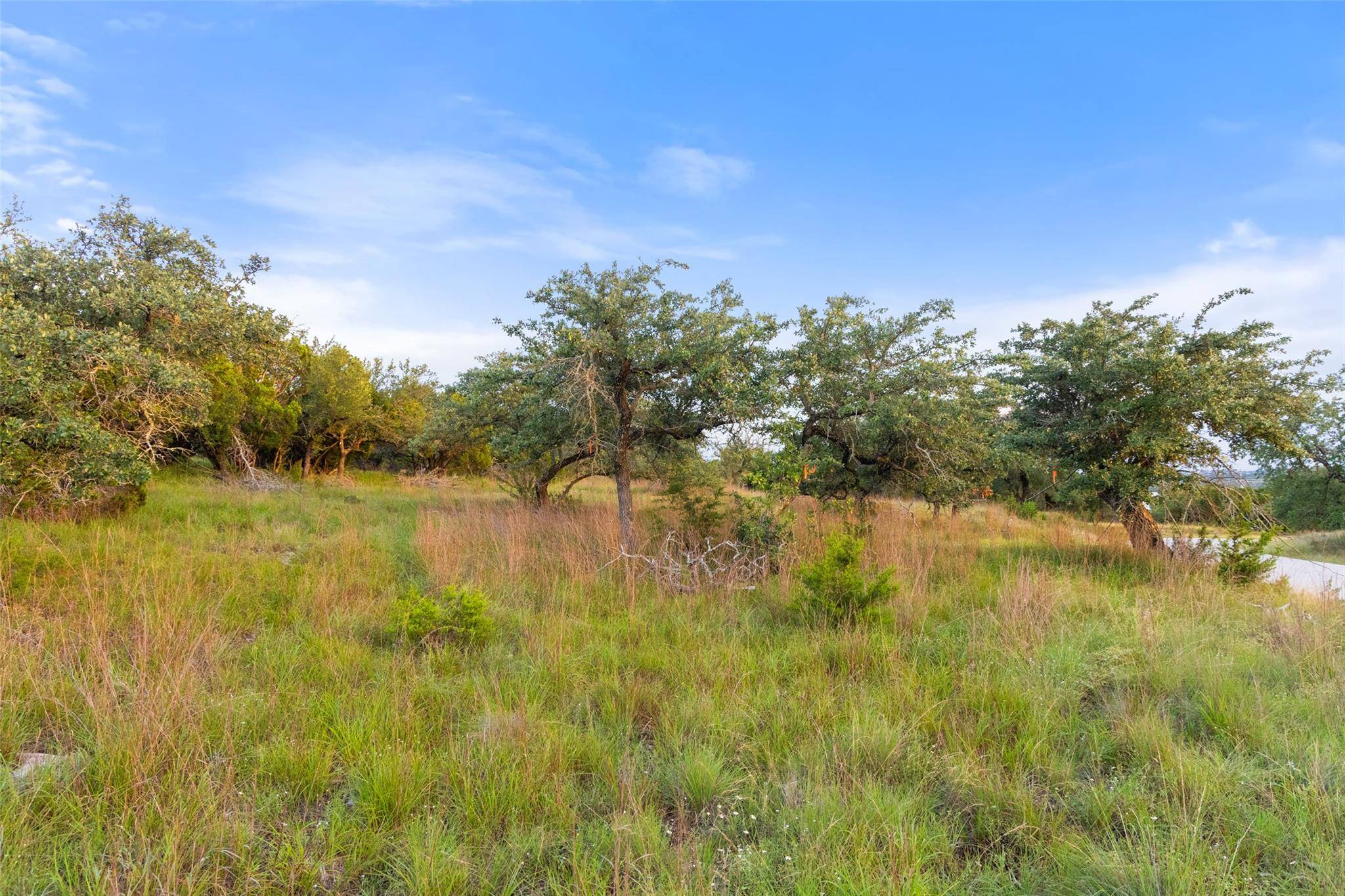 31930 Mirela Ann RD, Dripping Springs, TX 78620
