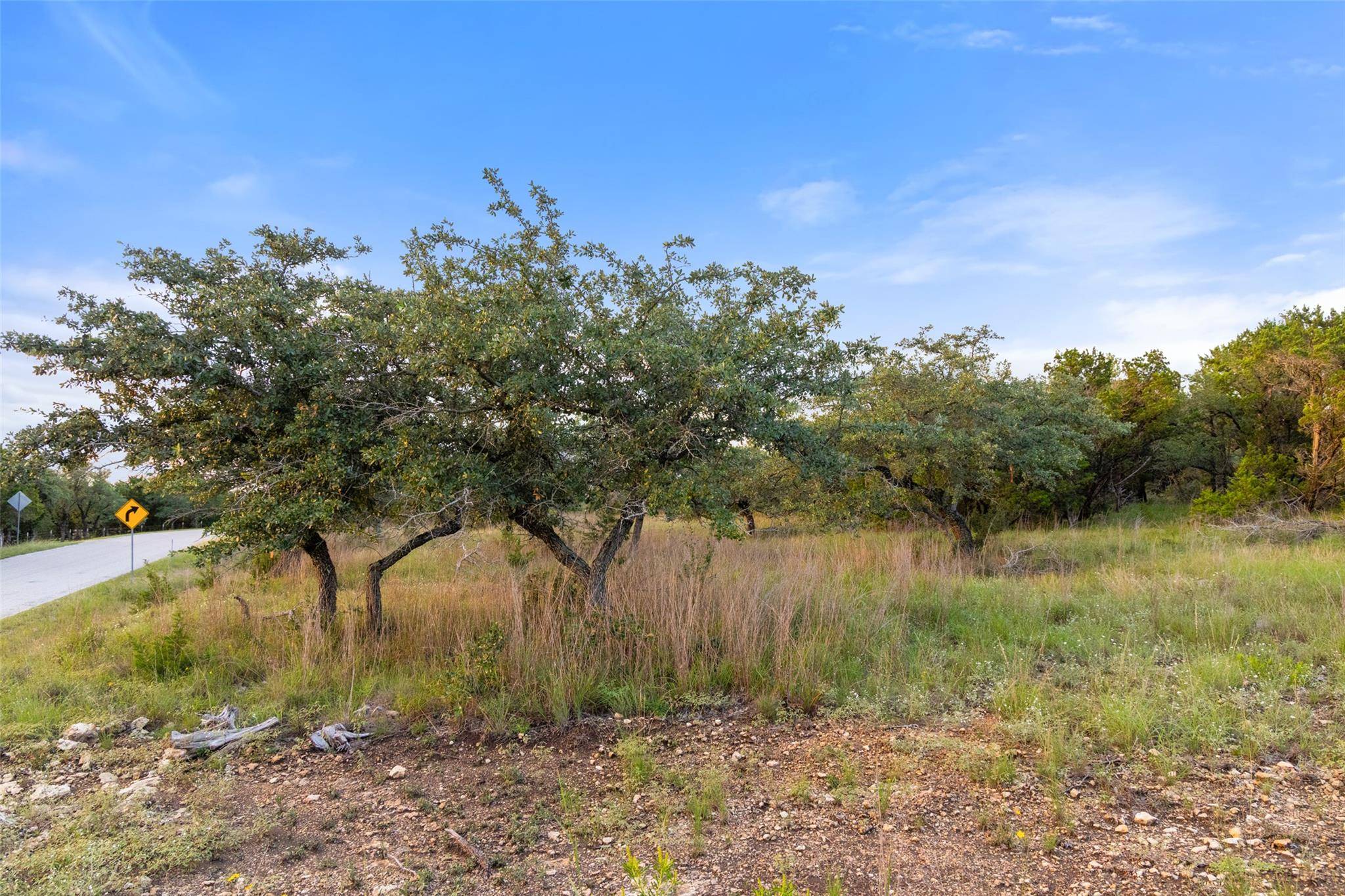 31930 Mirela Ann RD, Dripping Springs, TX 78620