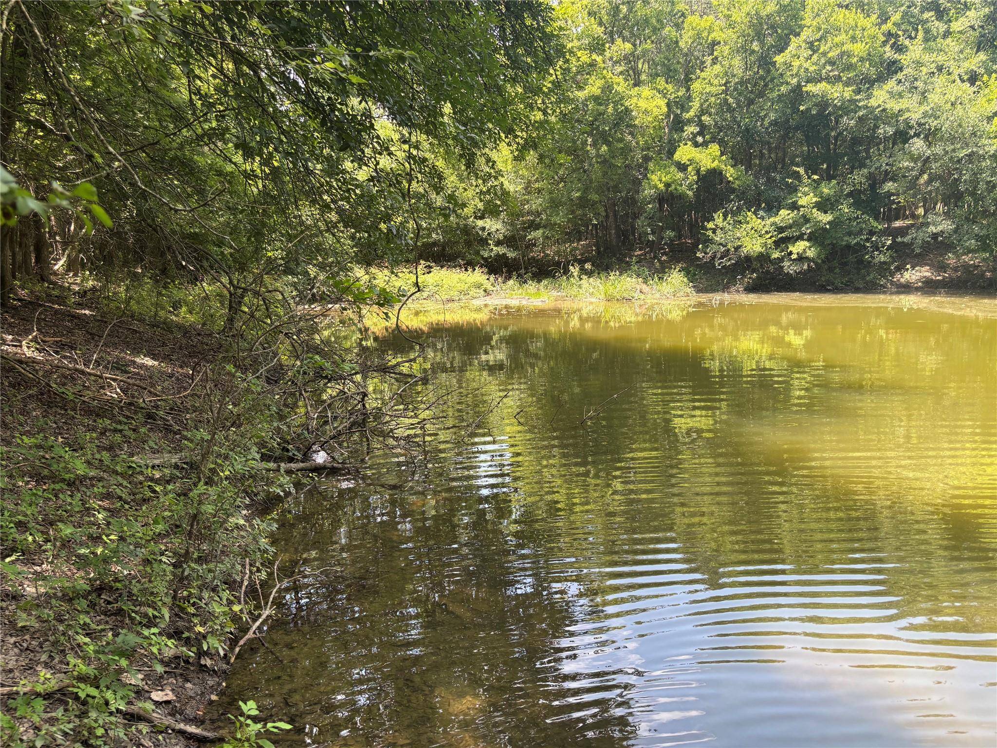 1500 Bottoms East RD, Troy, TX 76579