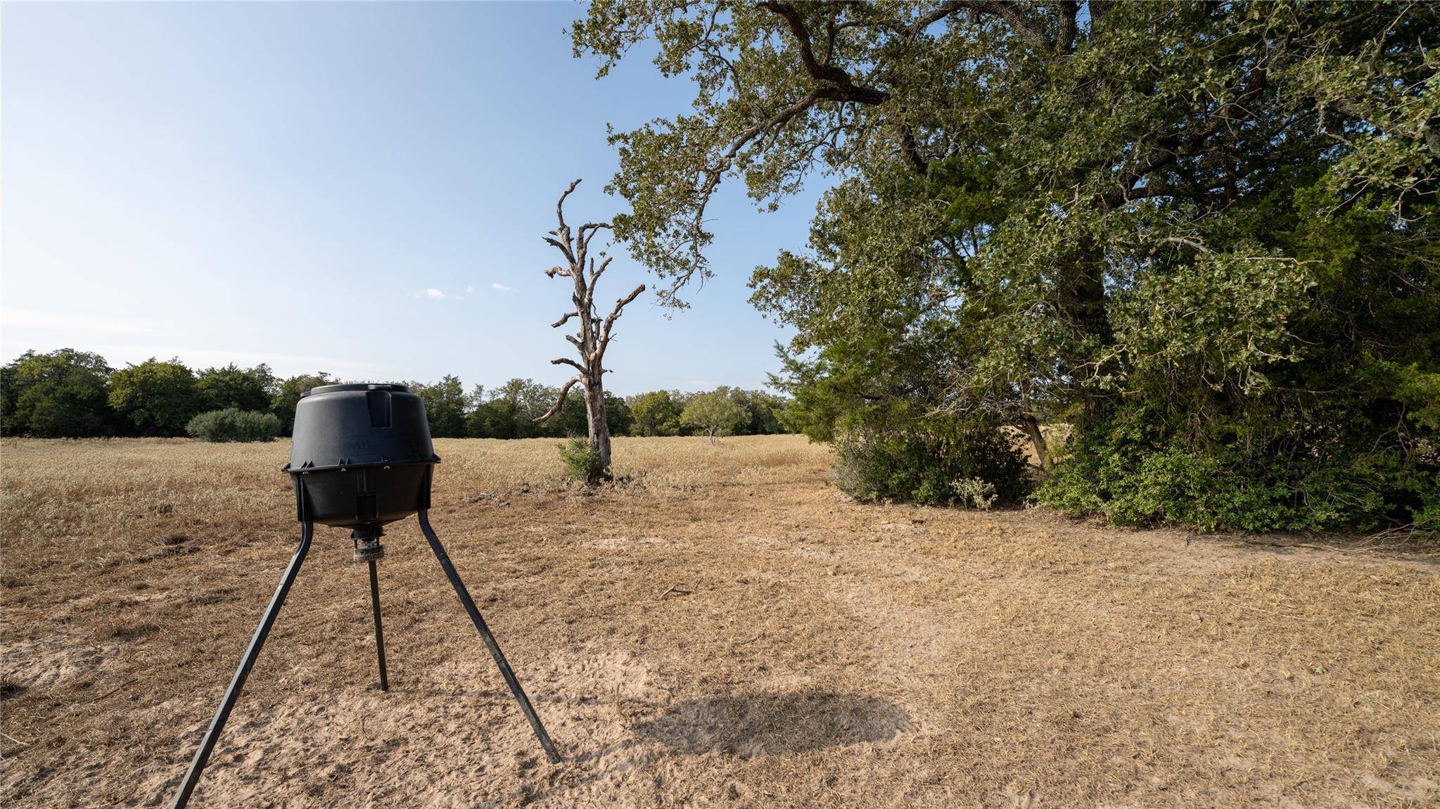 TBD TRACT 5 CEDAR ROCK RD, Rosanky, TX 78953