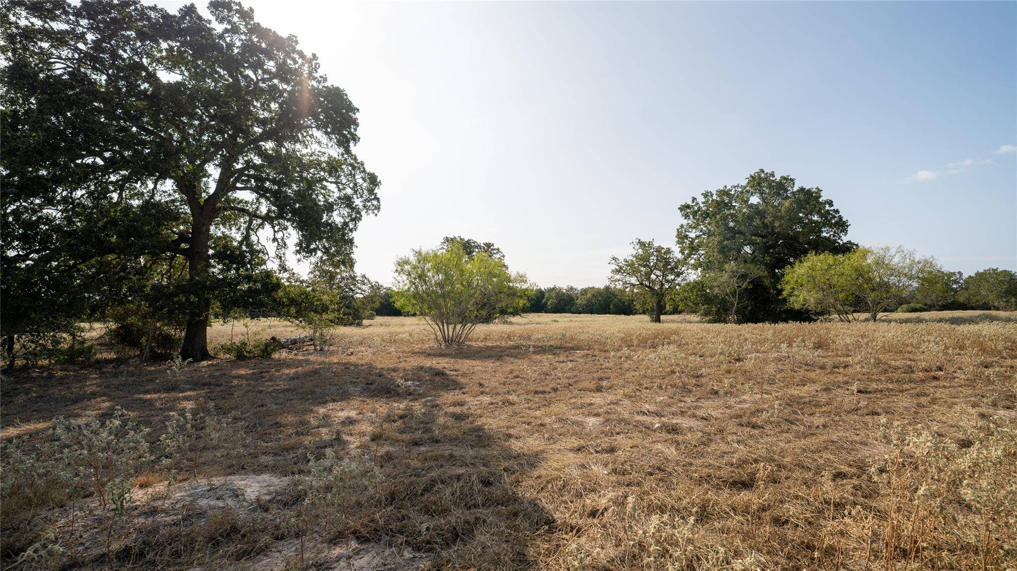 TBD TRACT 5 CEDAR ROCK RD, Rosanky, TX 78953