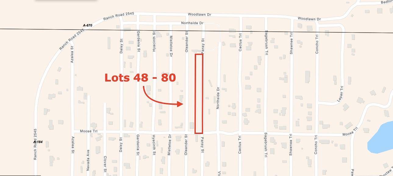 Lots 48-80 Pansy RD, Kingsland, TX 78639