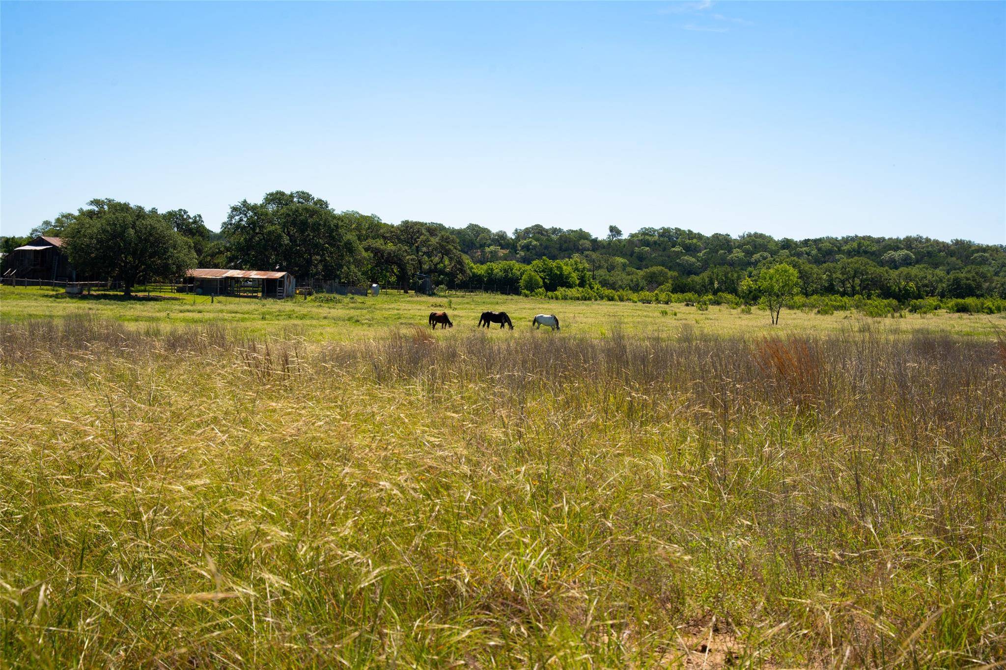 1294 Crabapple RD, Blanco, TX 78606