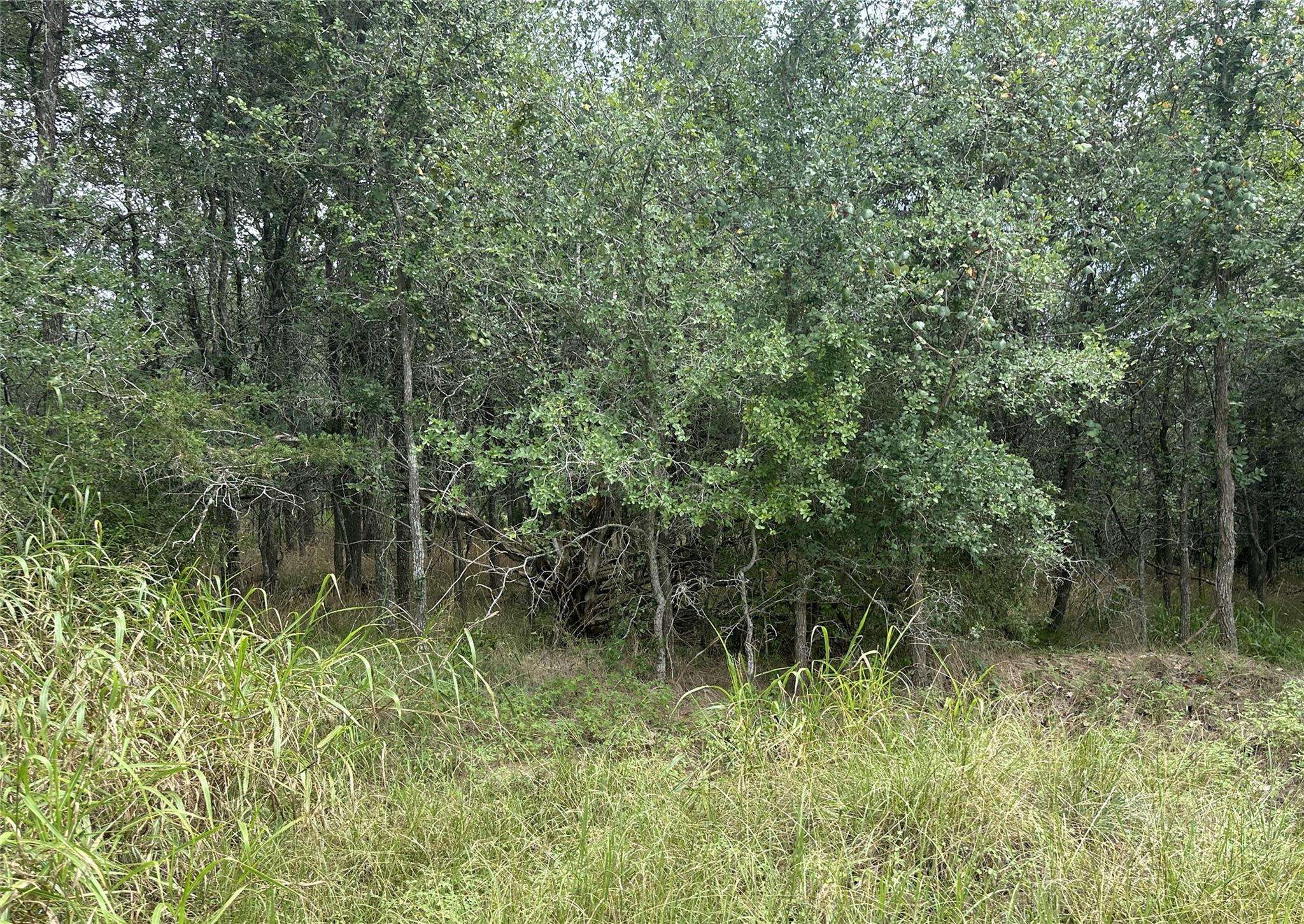 109 Halawa CT, Bastrop, TX 78602