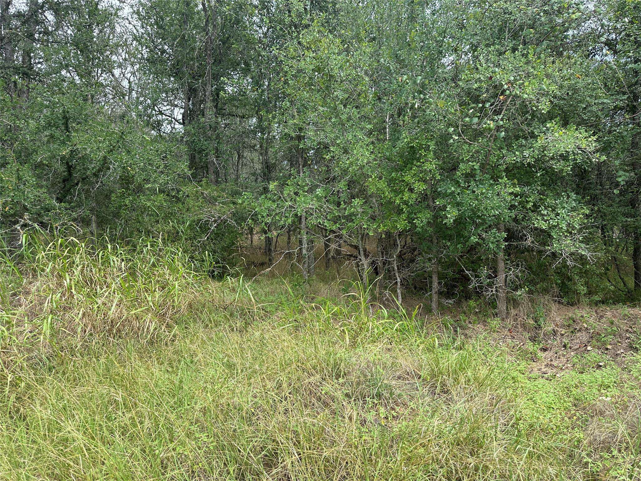 109 Halawa CT, Bastrop, TX 78602