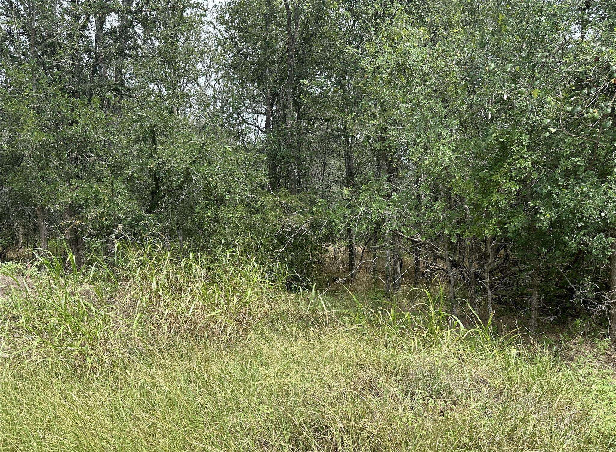 109 Halawa CT, Bastrop, TX 78602