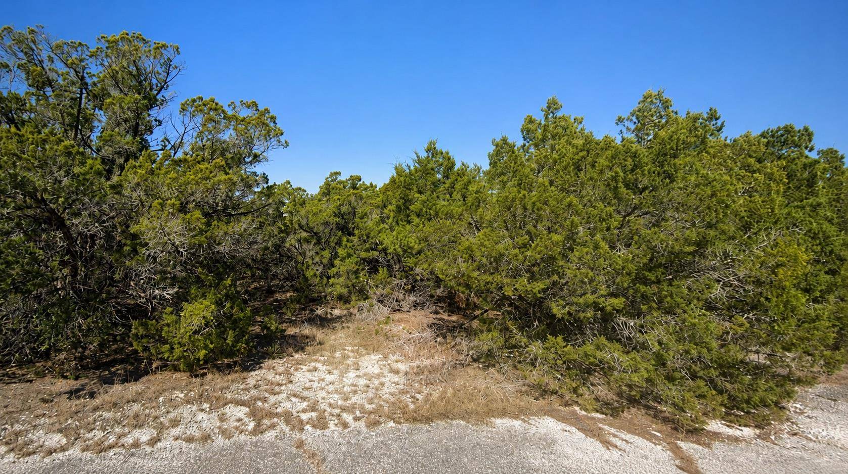 8404 Angus TRL, Leander, TX 78645