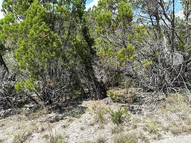 21404 Westward Ho PASS, Lago Vista, TX 78645