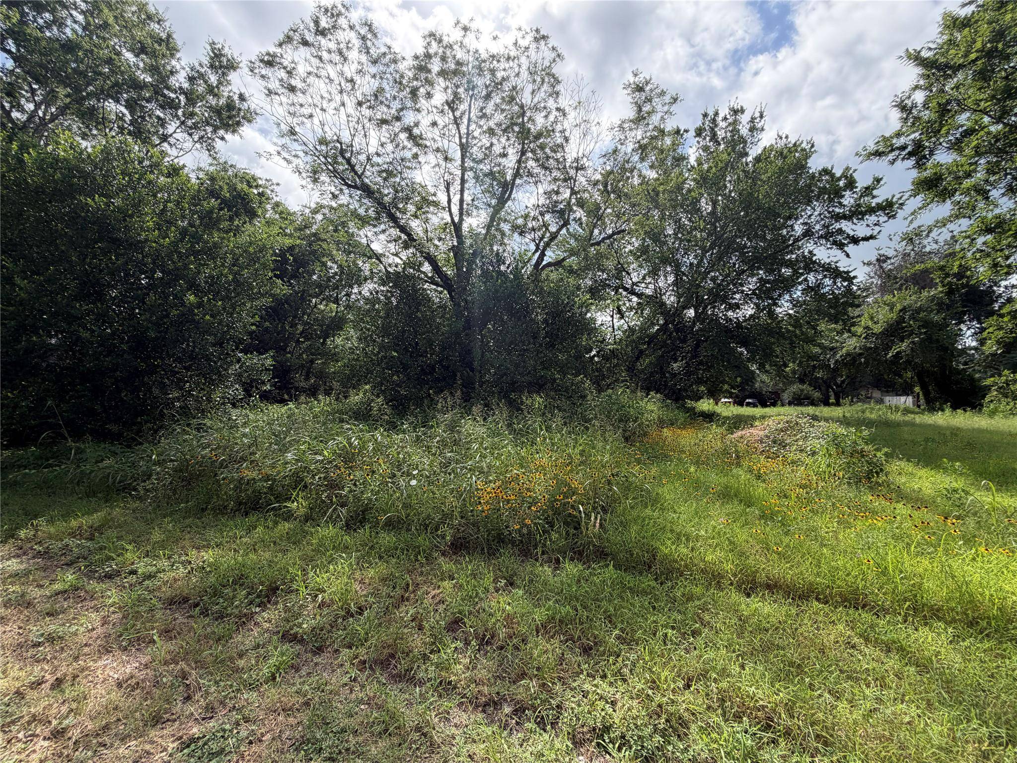 305 Ross ST, Smithville, TX 78957