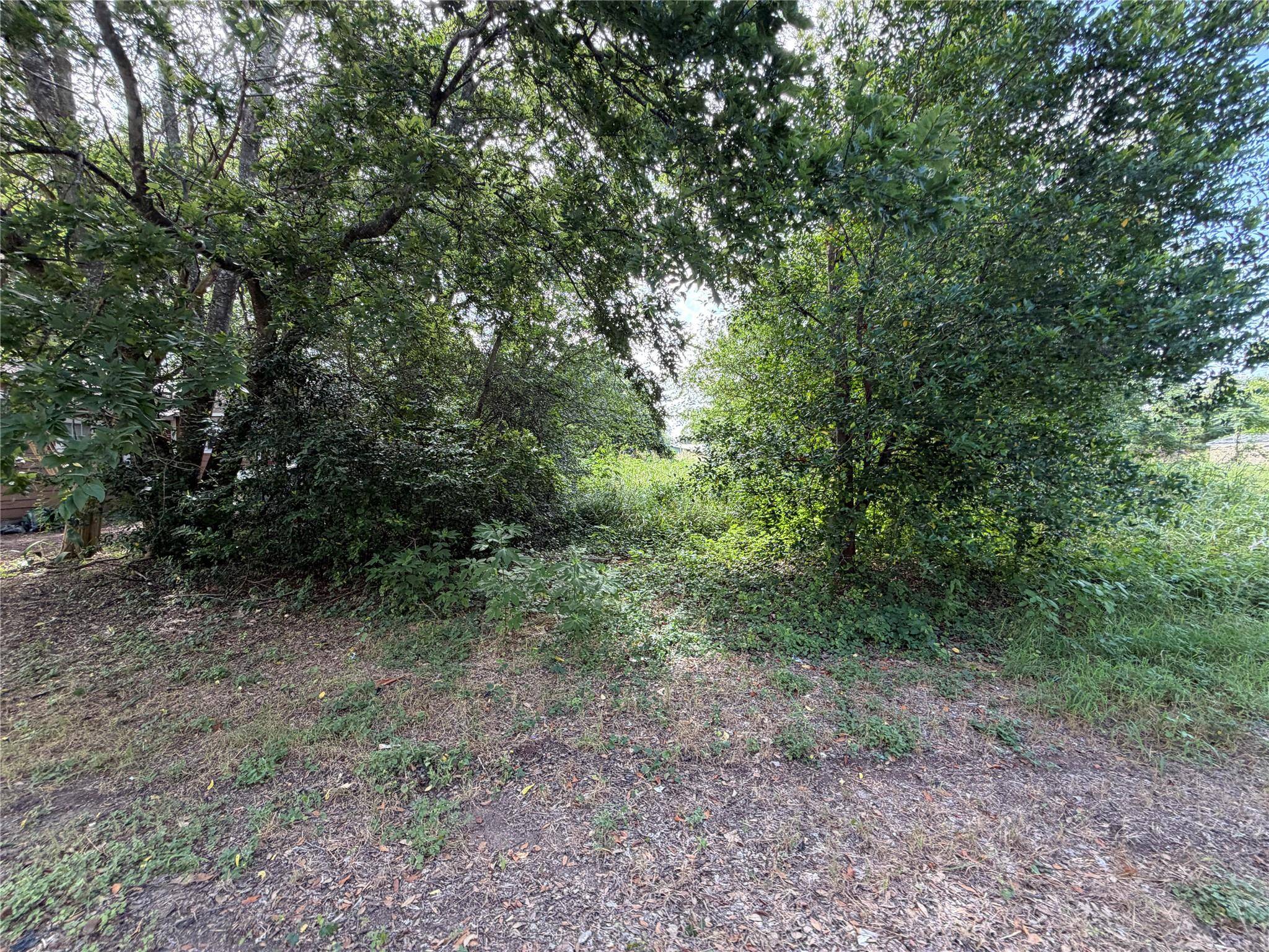 305 Ross ST, Smithville, TX 78957