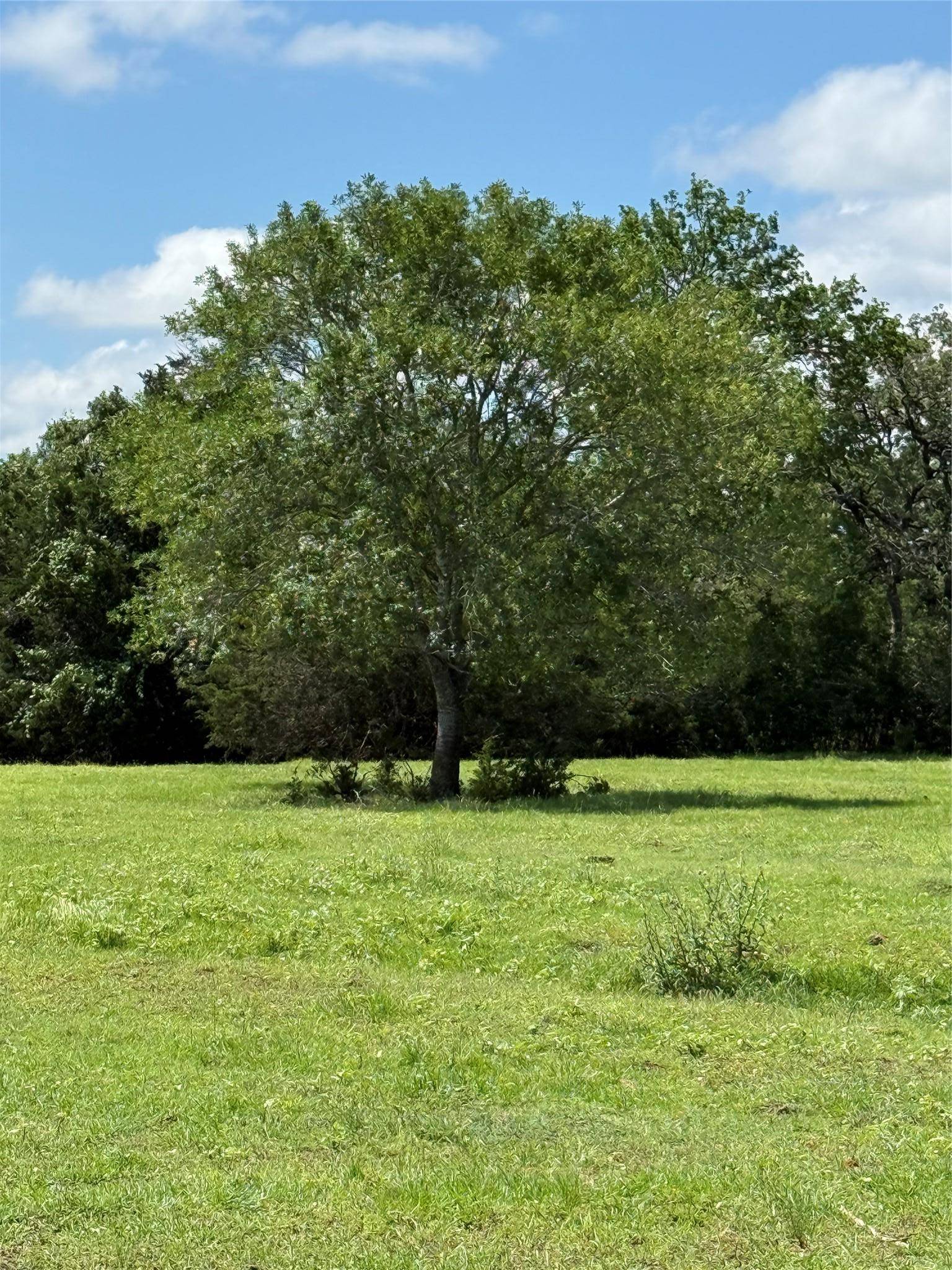 1749 FM 535, Smithville, TX 78957