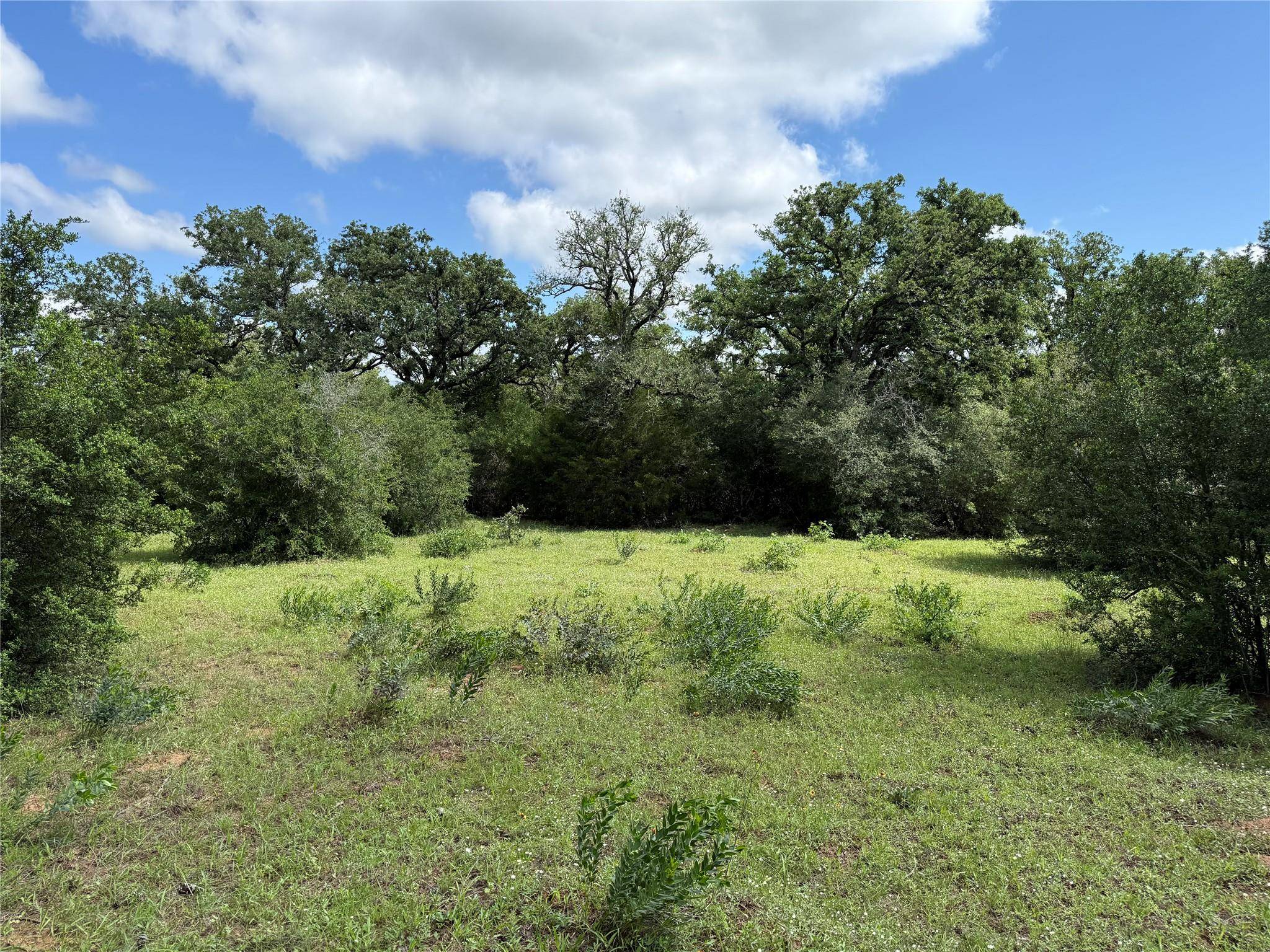 1749 FM 535, Smithville, TX 78957