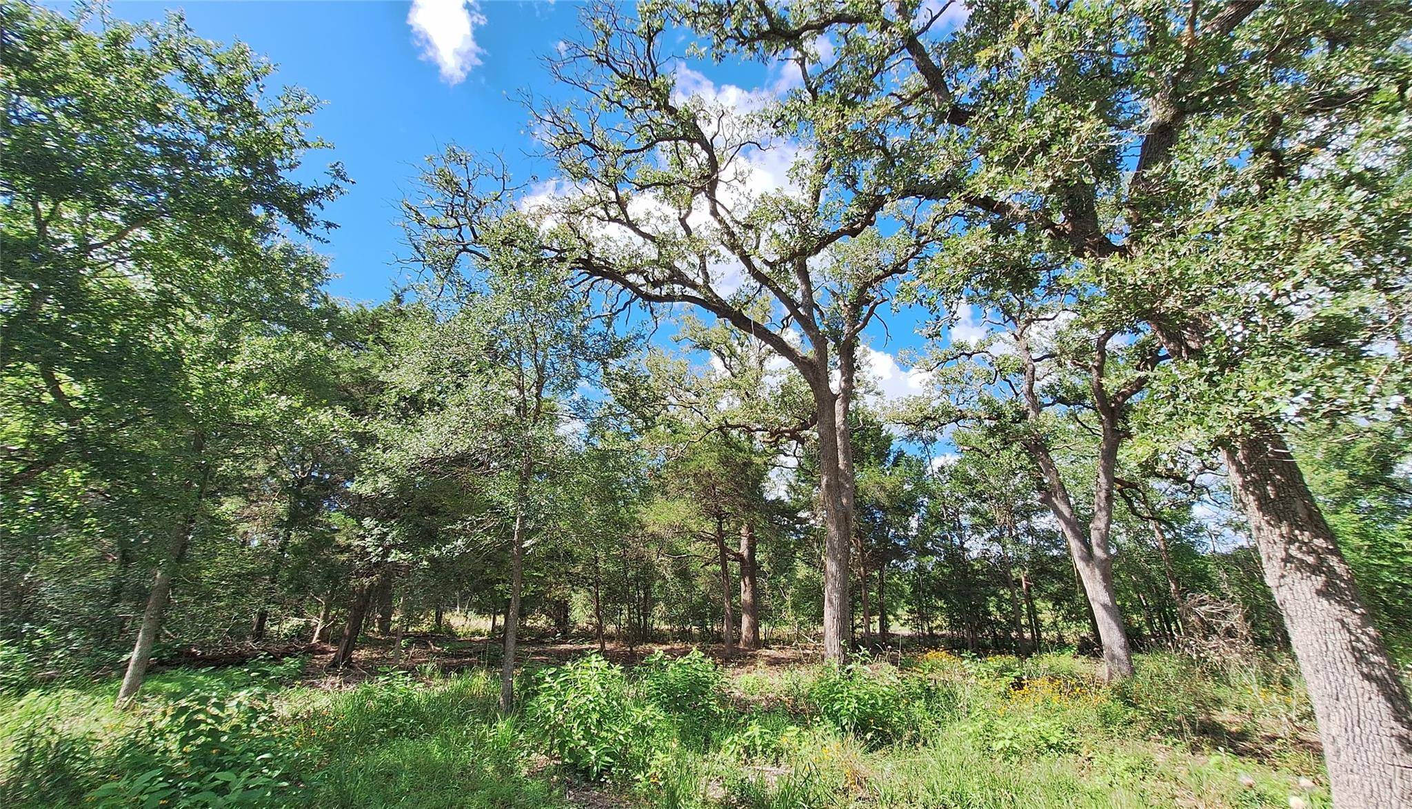 1014 Beaver Lake DR, Caldwell, TX 77836