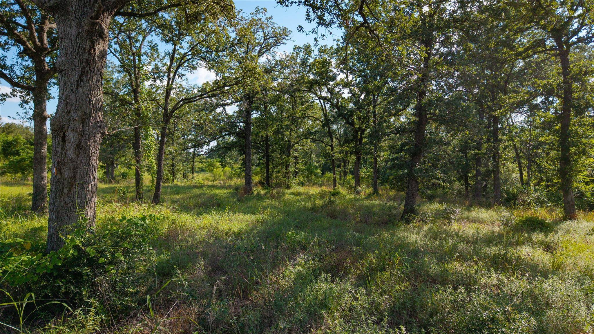 206 Sayers RD, Bastrop, TX 78602