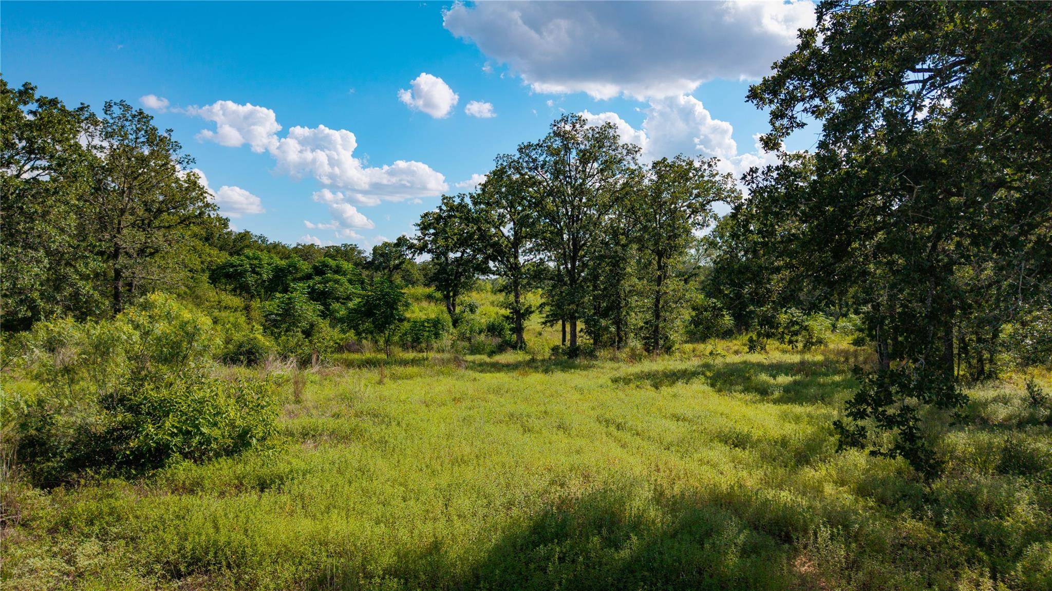 206 Sayers RD, Bastrop, TX 78602
