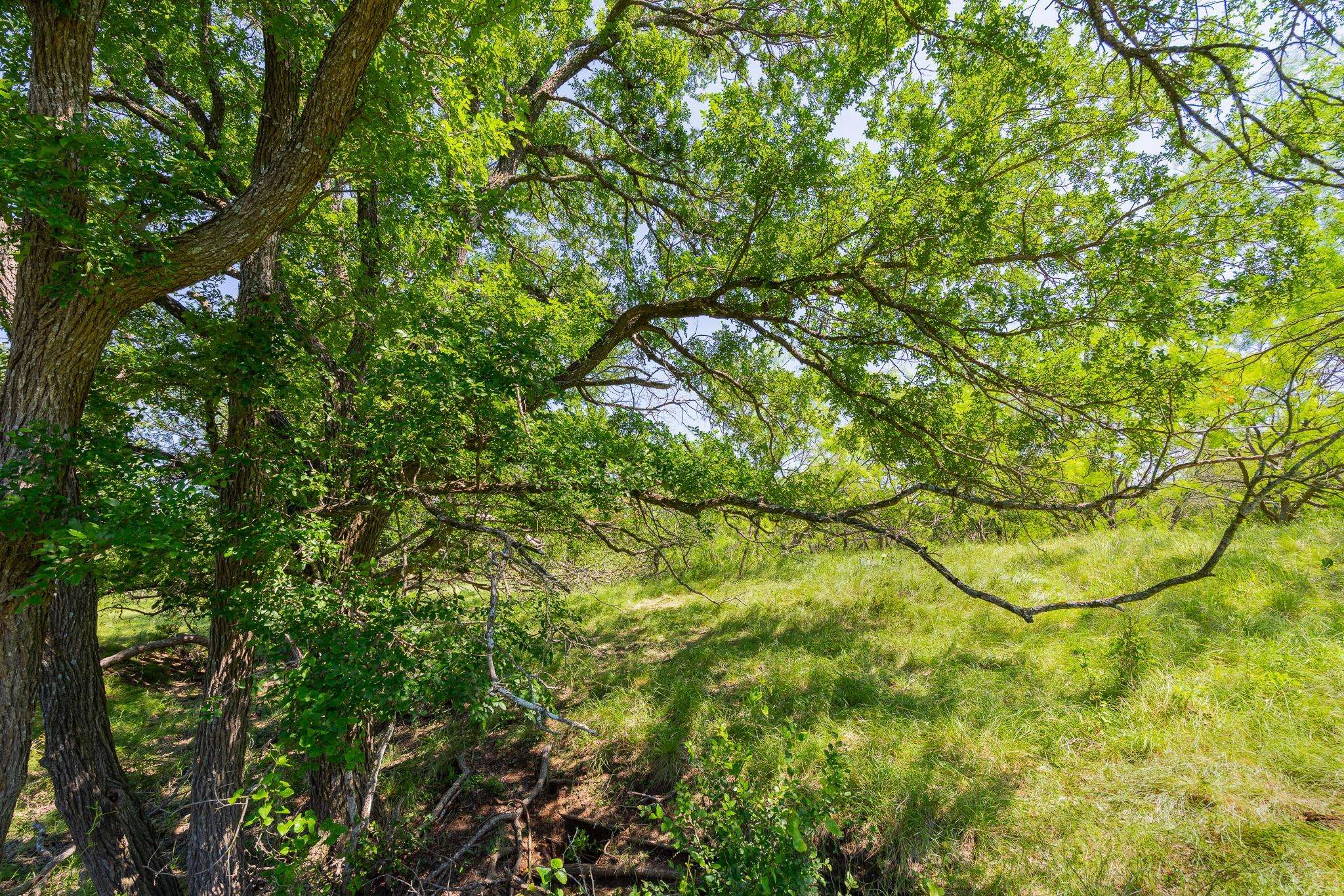 TBD County Road 180 Covered Meadows Ranch RD, Purmela, TX 76566