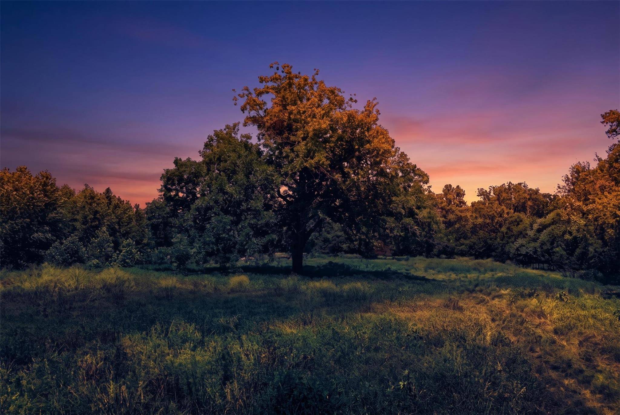 15145 Alternate 90, Kingsbury, TX 78638