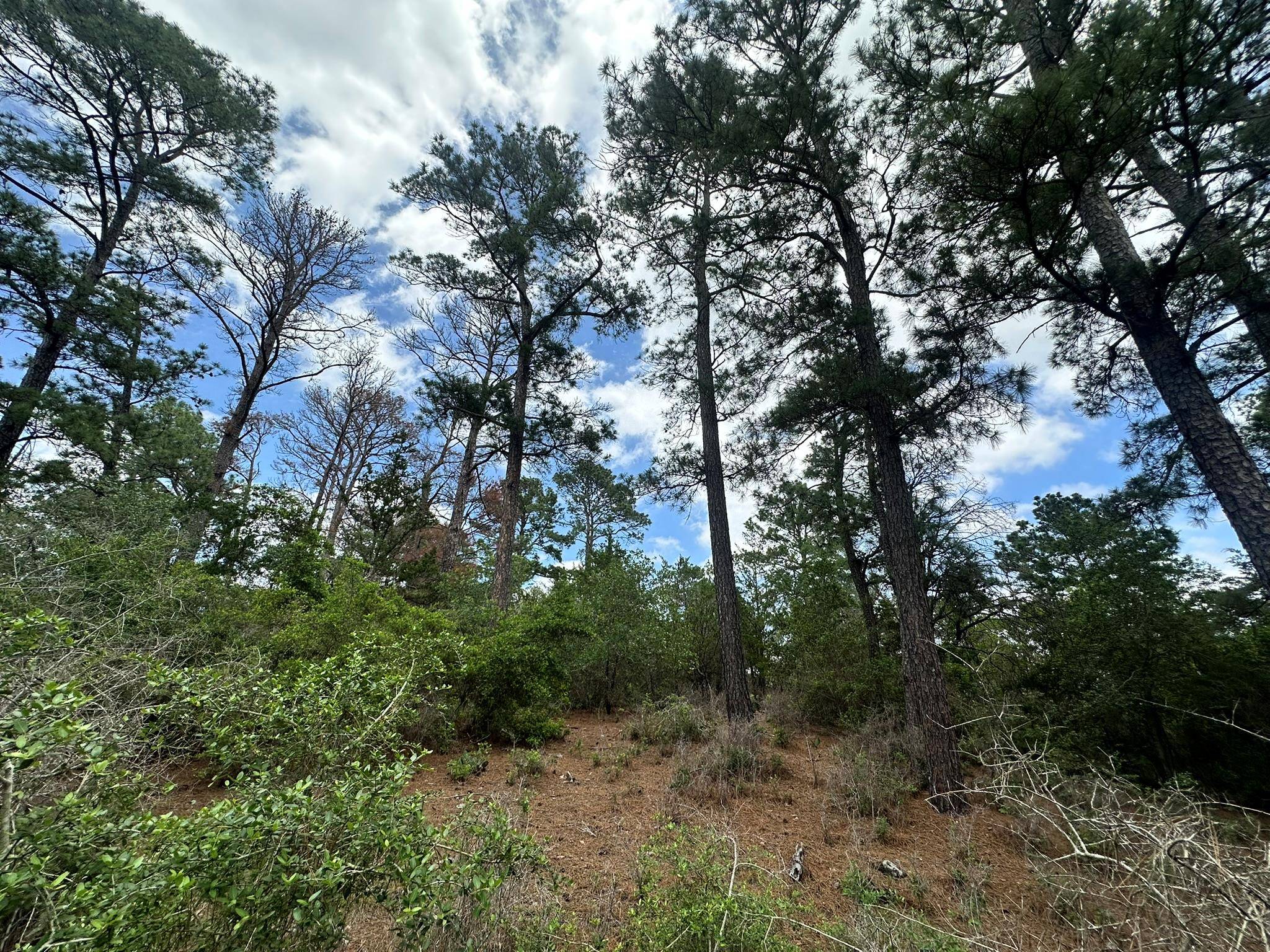 217 Helemano DR, Bastrop, TX 78602