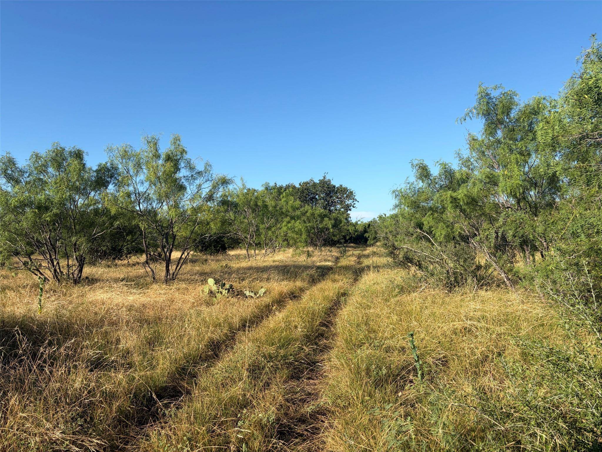 3118 CR 404 RD, Spicewood, TX 78669