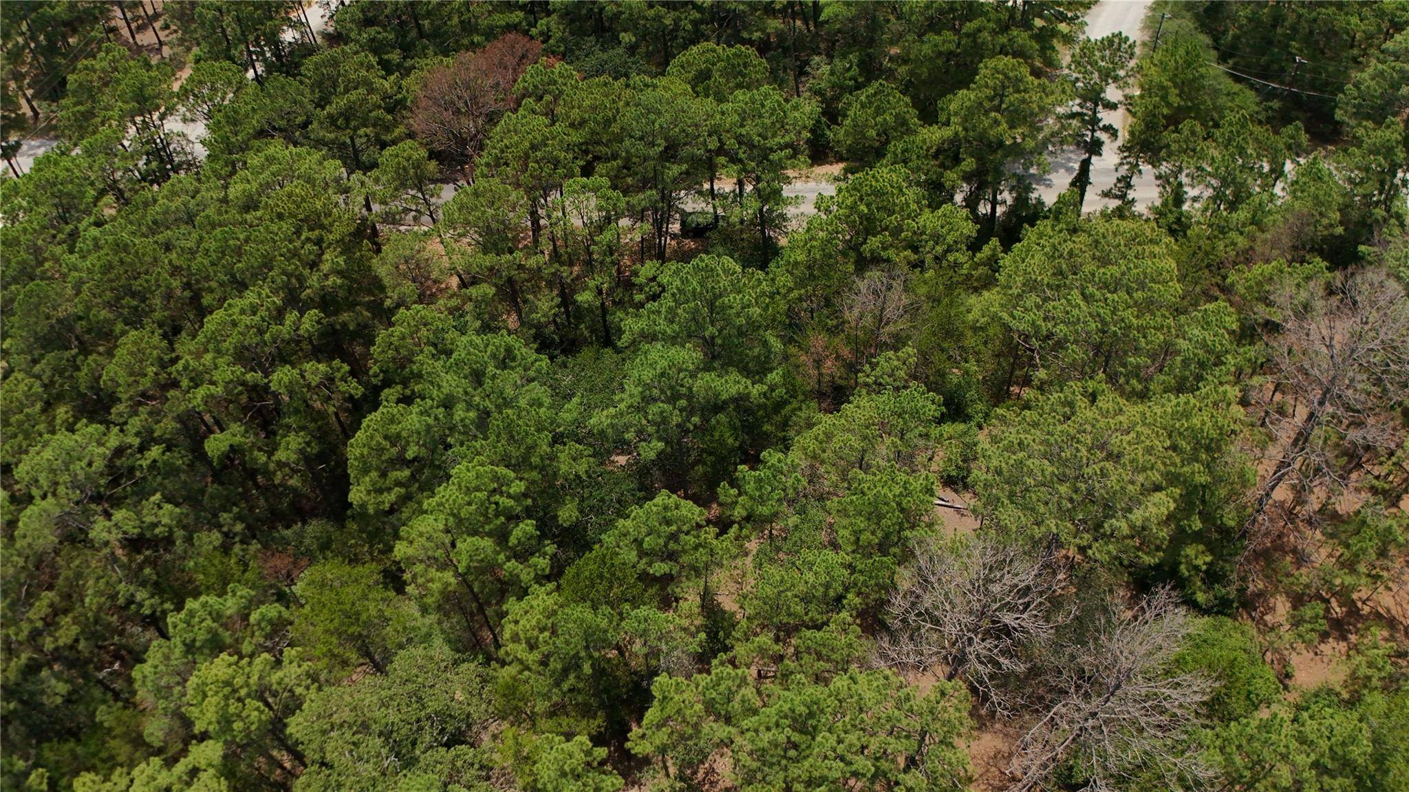 147 Kamaiki DR, Bastrop, TX 78602