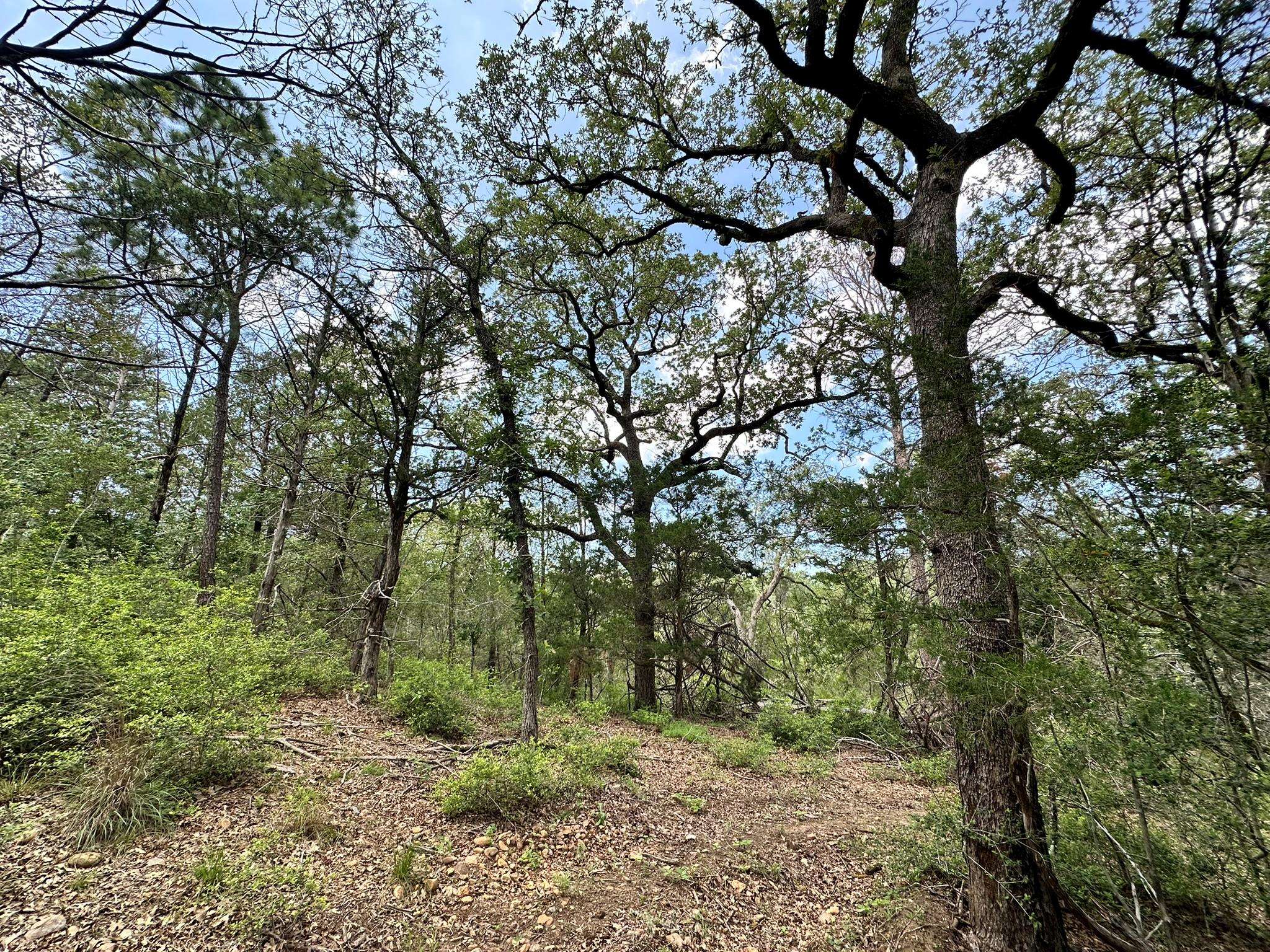 00 Oah CT, Bastrop, TX 78602