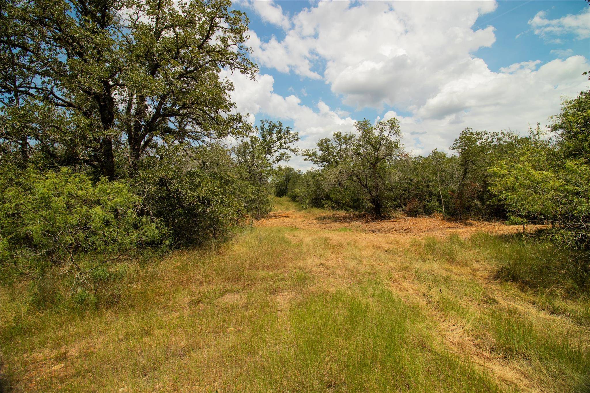 9057 Sycamore Shade LN, Kingsbury, TX 78155