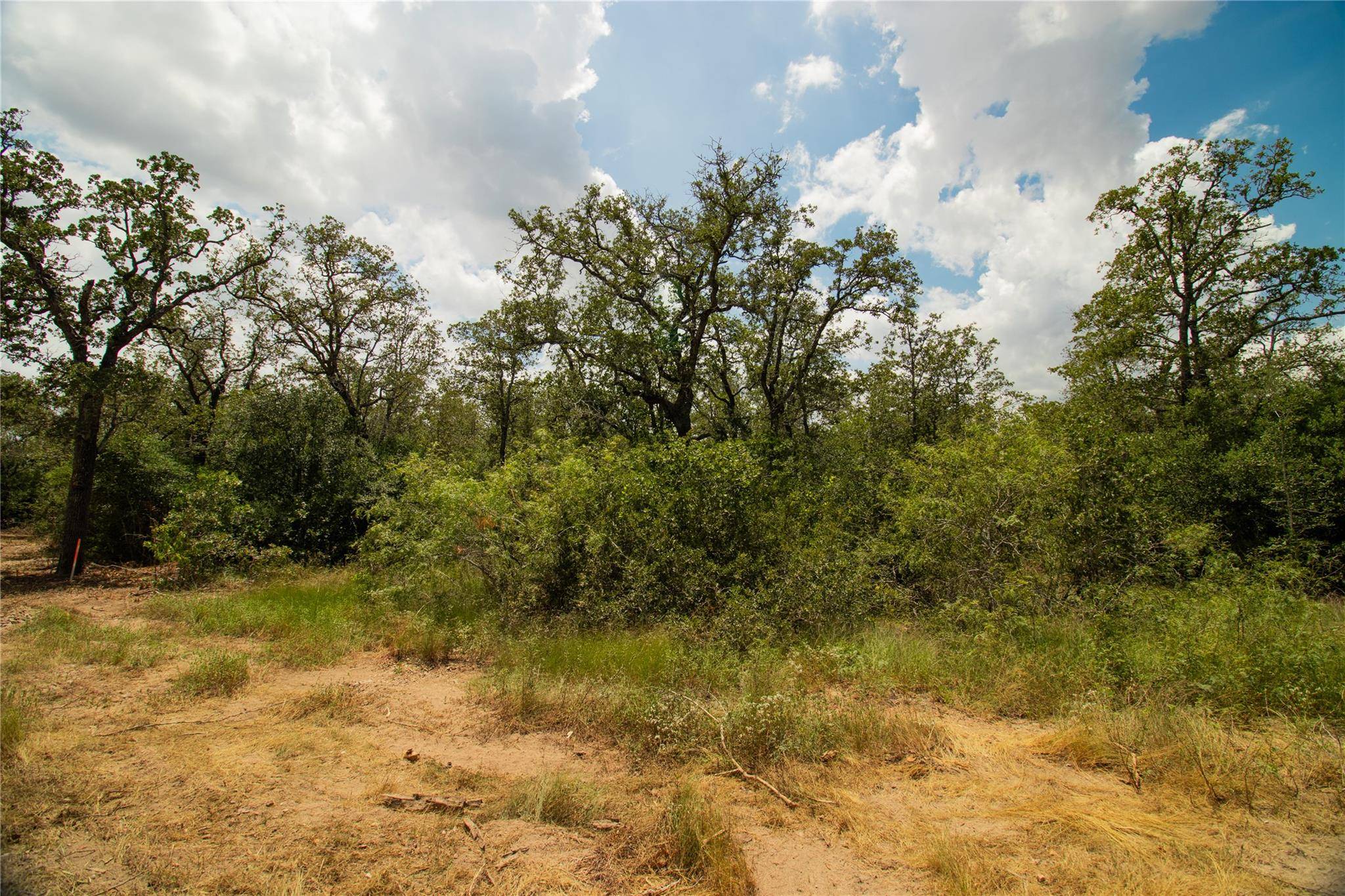 9057 Sycamore Shade LN, Kingsbury, TX 78155