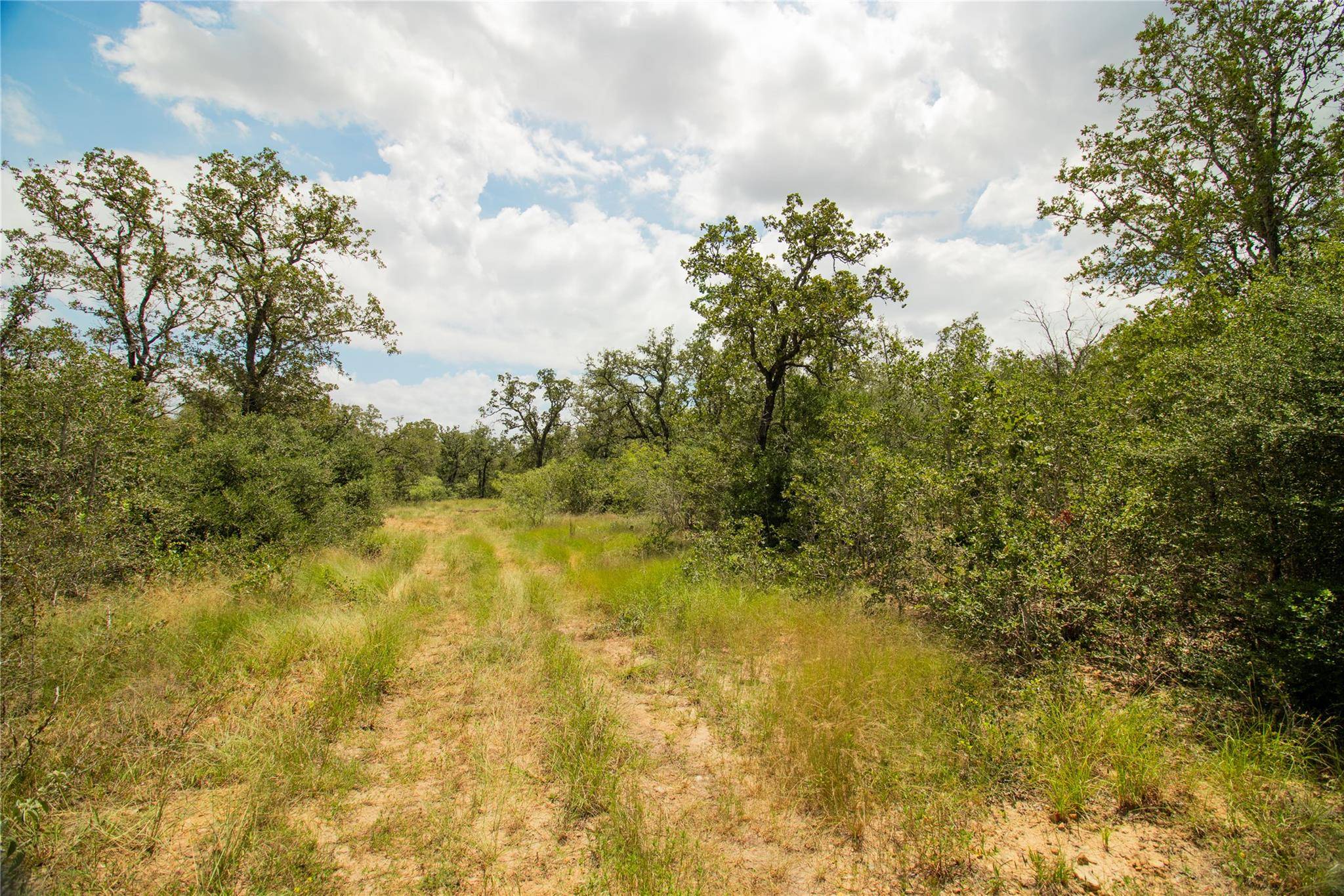 9057 Sycamore Shade LN, Kingsbury, TX 78155