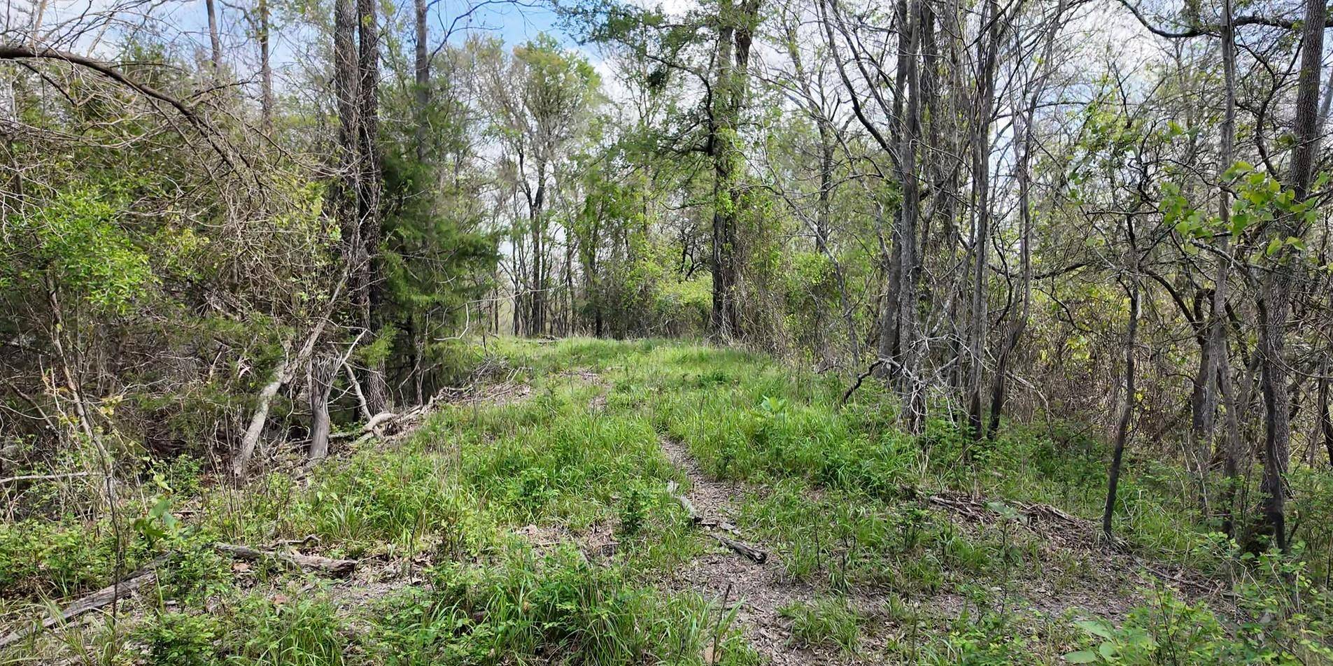 144 CR 219, Cameron, TX 76520
