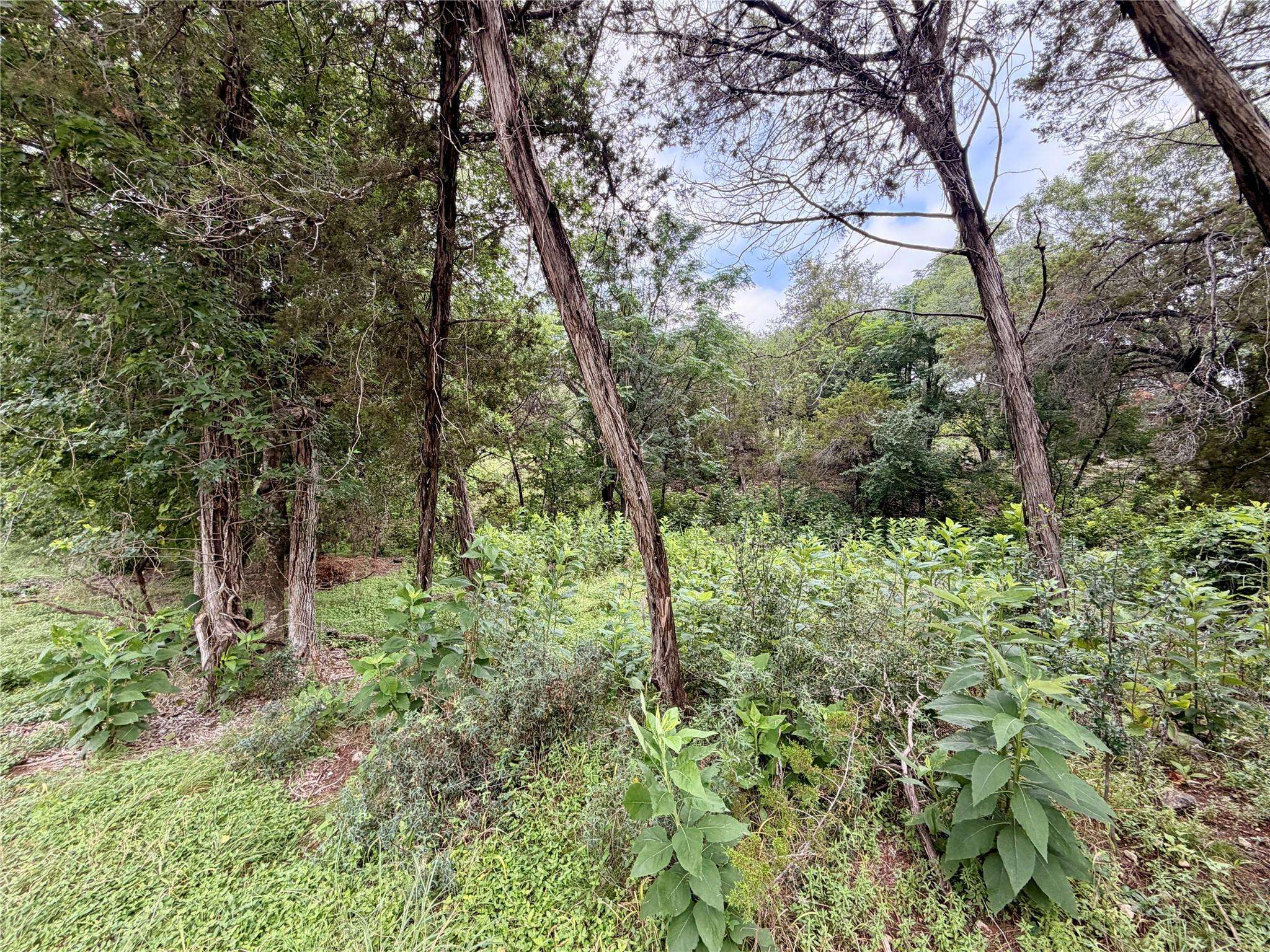 20900 Mohawk ST, Lago Vista, TX 78645