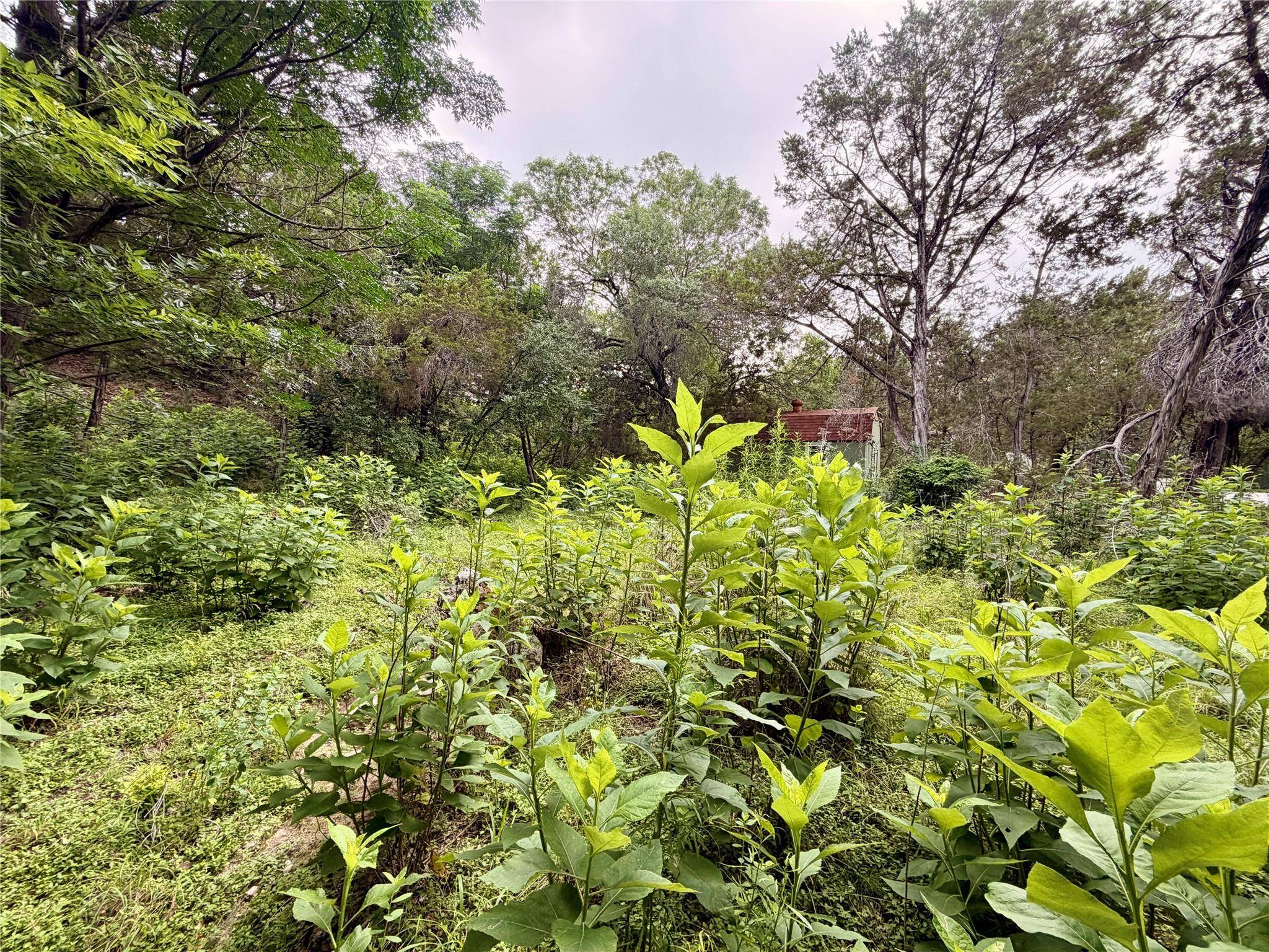 20900 Mohawk ST, Lago Vista, TX 78645