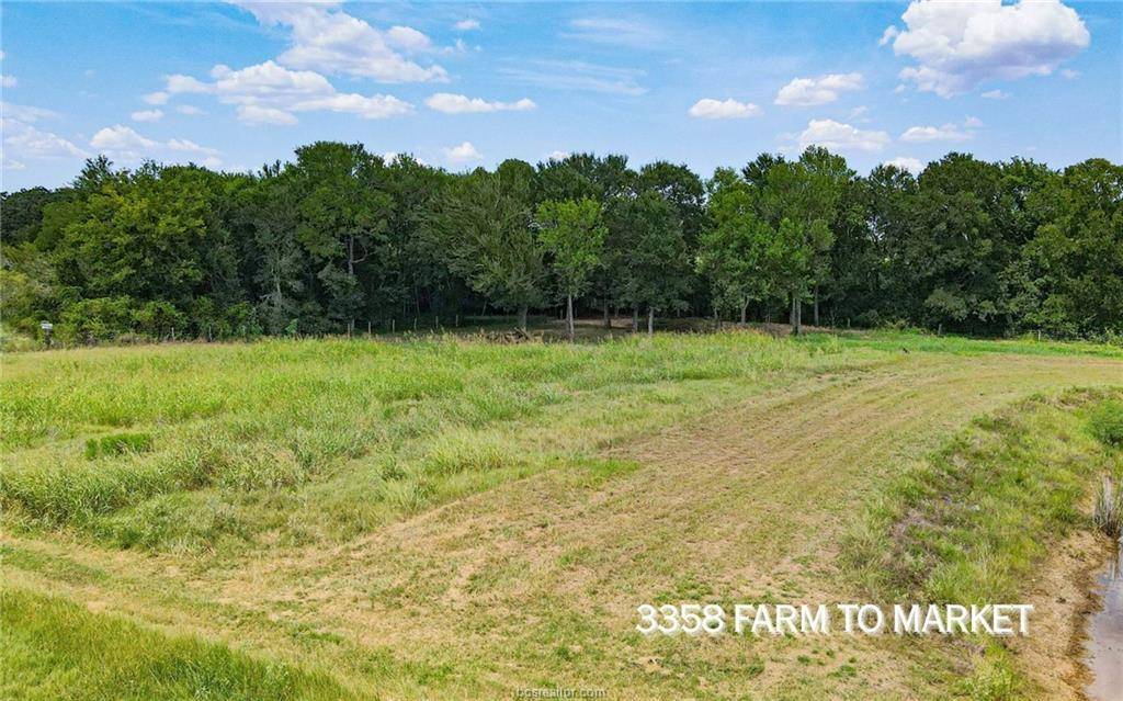 TBD FM 166 (+/-54 acres), Caldwell, TX 77836