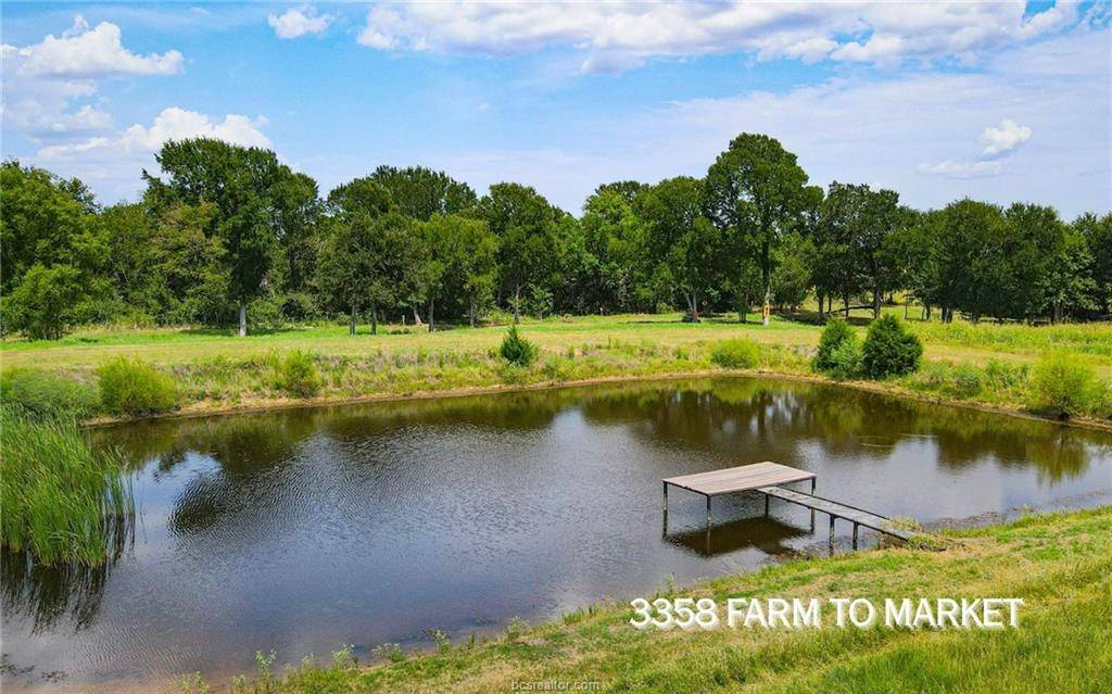 TBD FM 166 (+/-54 acres), Caldwell, TX 77836
