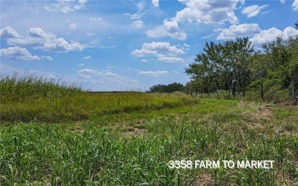 TBD FM 166 (+/-54 acres), Caldwell, TX 77836