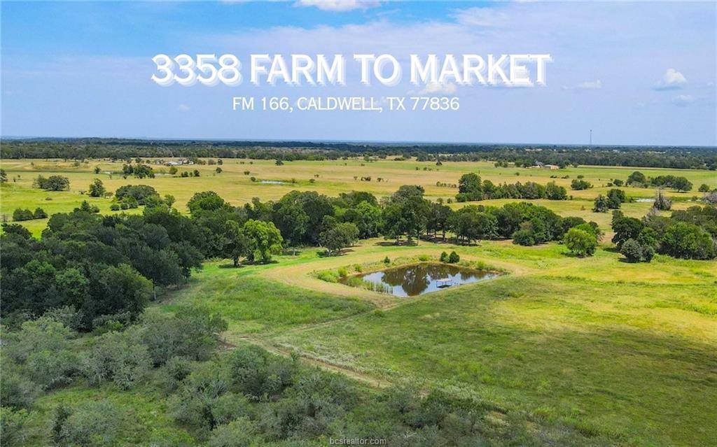 TBD FM 166 (+/-54 acres), Caldwell, TX 77836