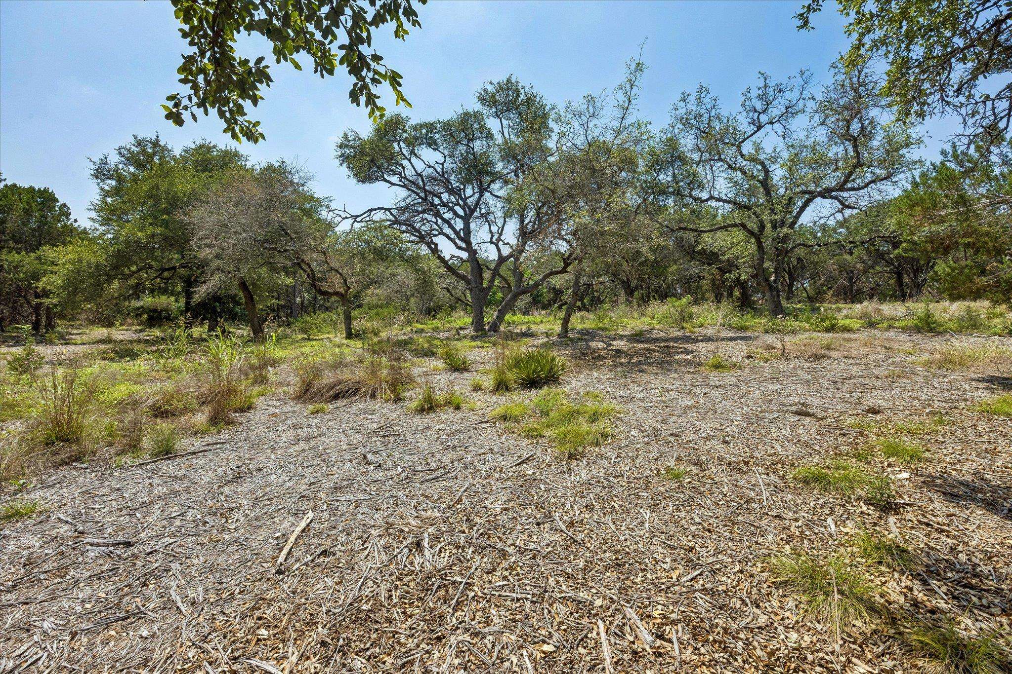 175 Spanish Oak LN, Liberty Hill, TX 78642