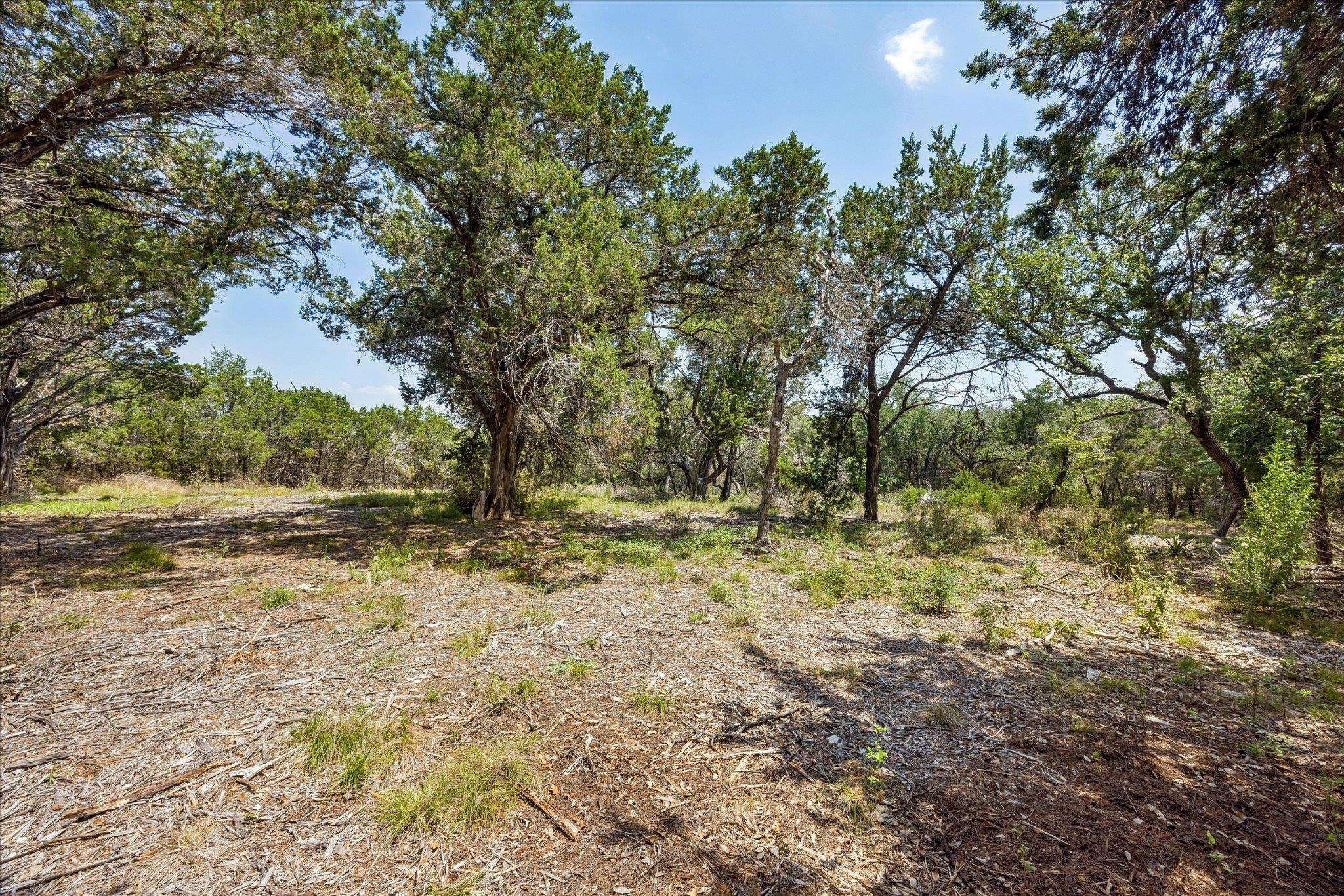 175 Spanish Oak LN, Liberty Hill, TX 78642