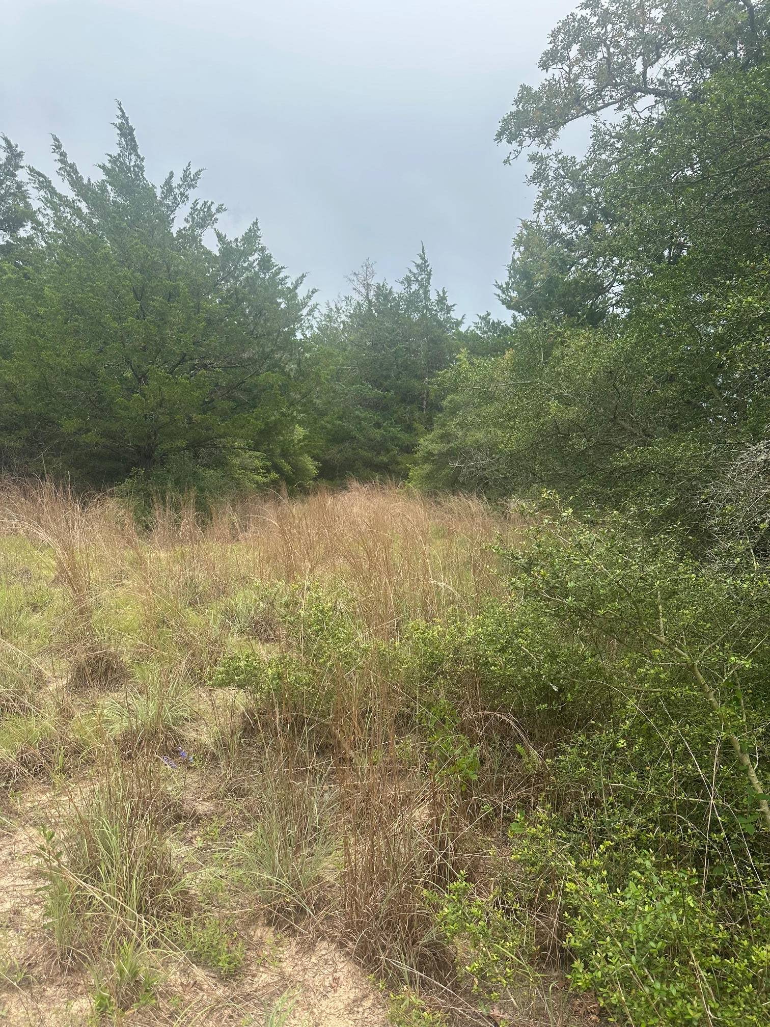 Lot 58-61 Pecan DR, Caldwell, TX 77836