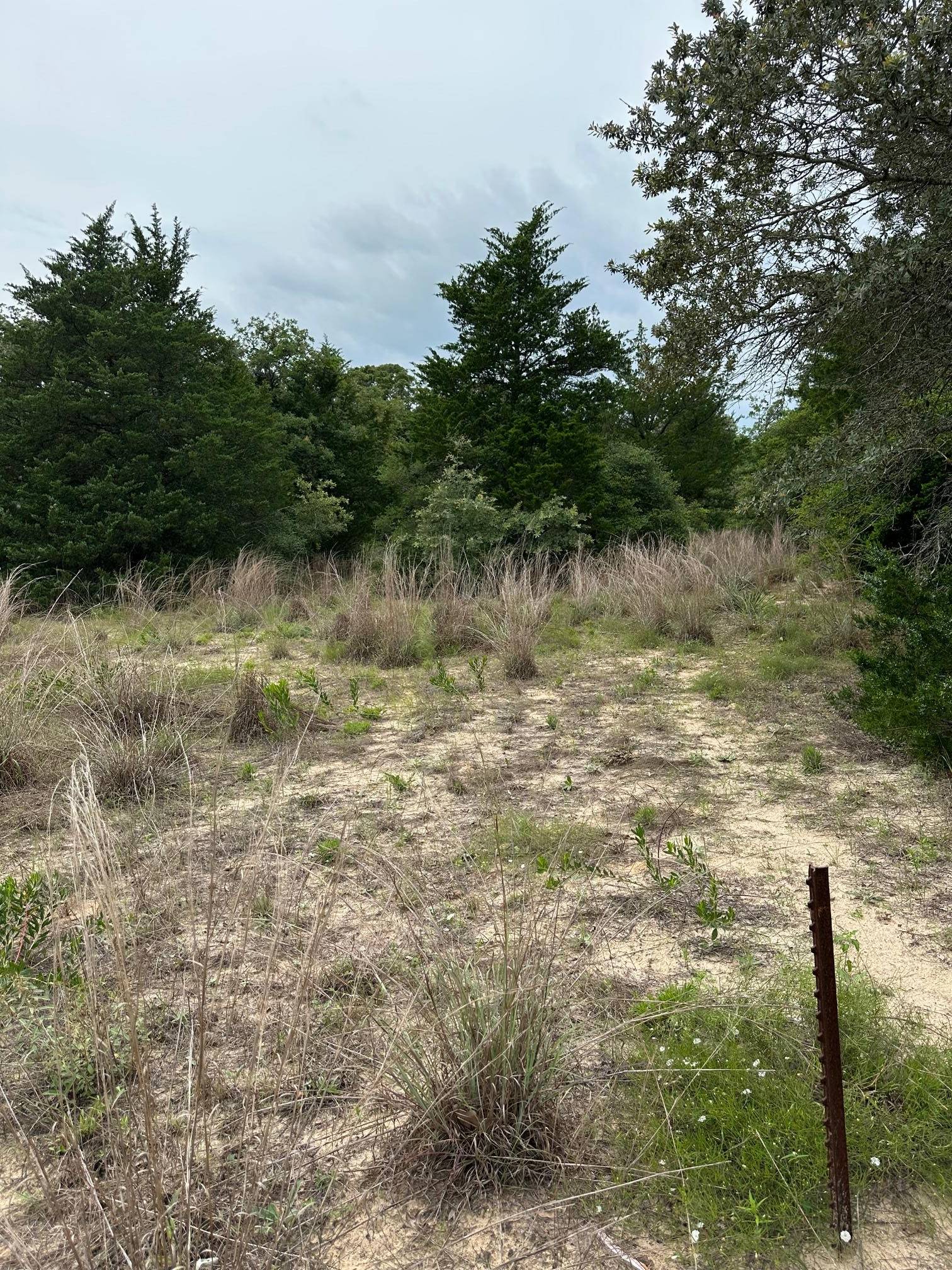 Lot 58-61 Pecan DR, Caldwell, TX 77836