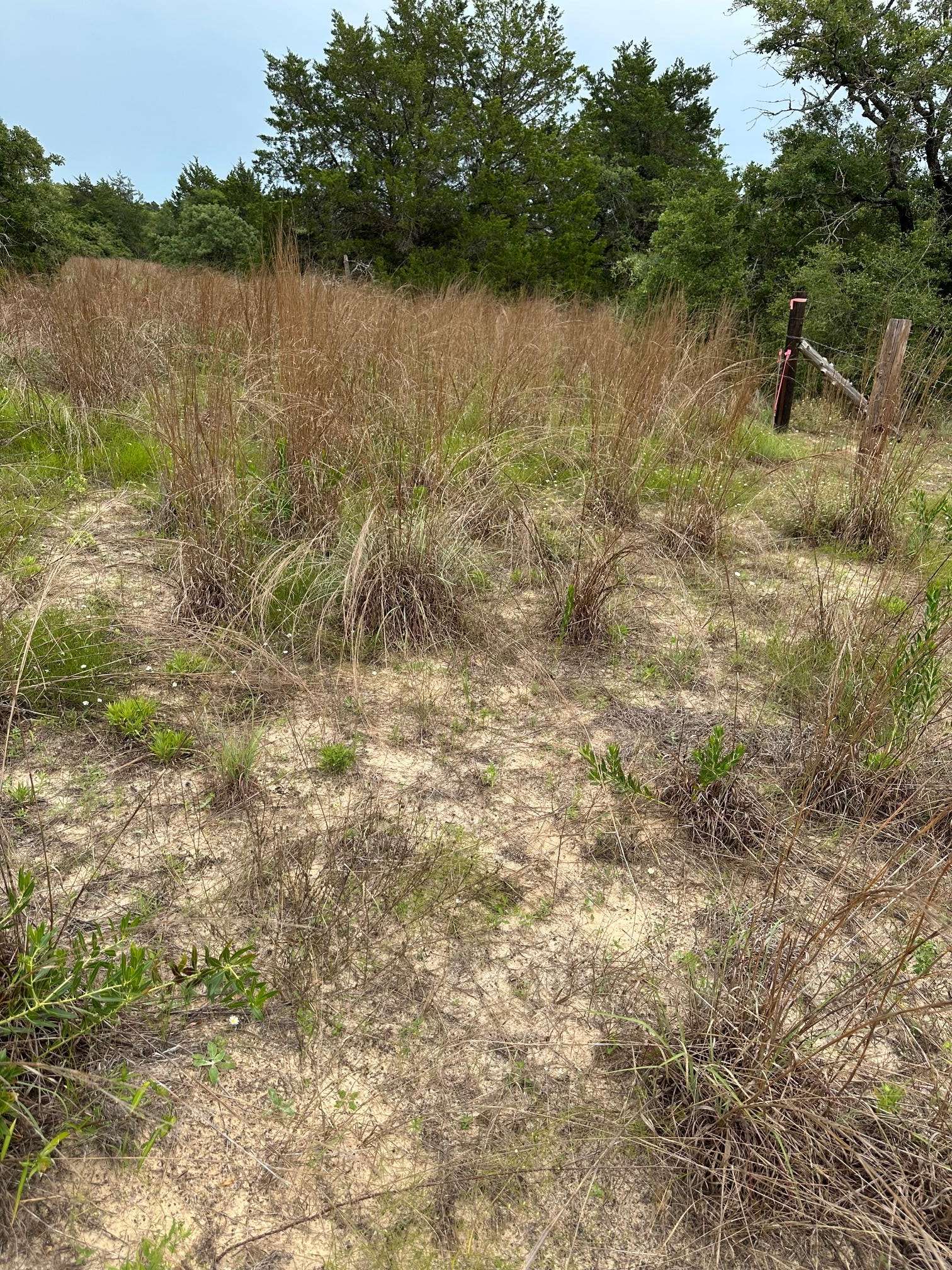Lot 58-61 Pecan DR, Caldwell, TX 77836