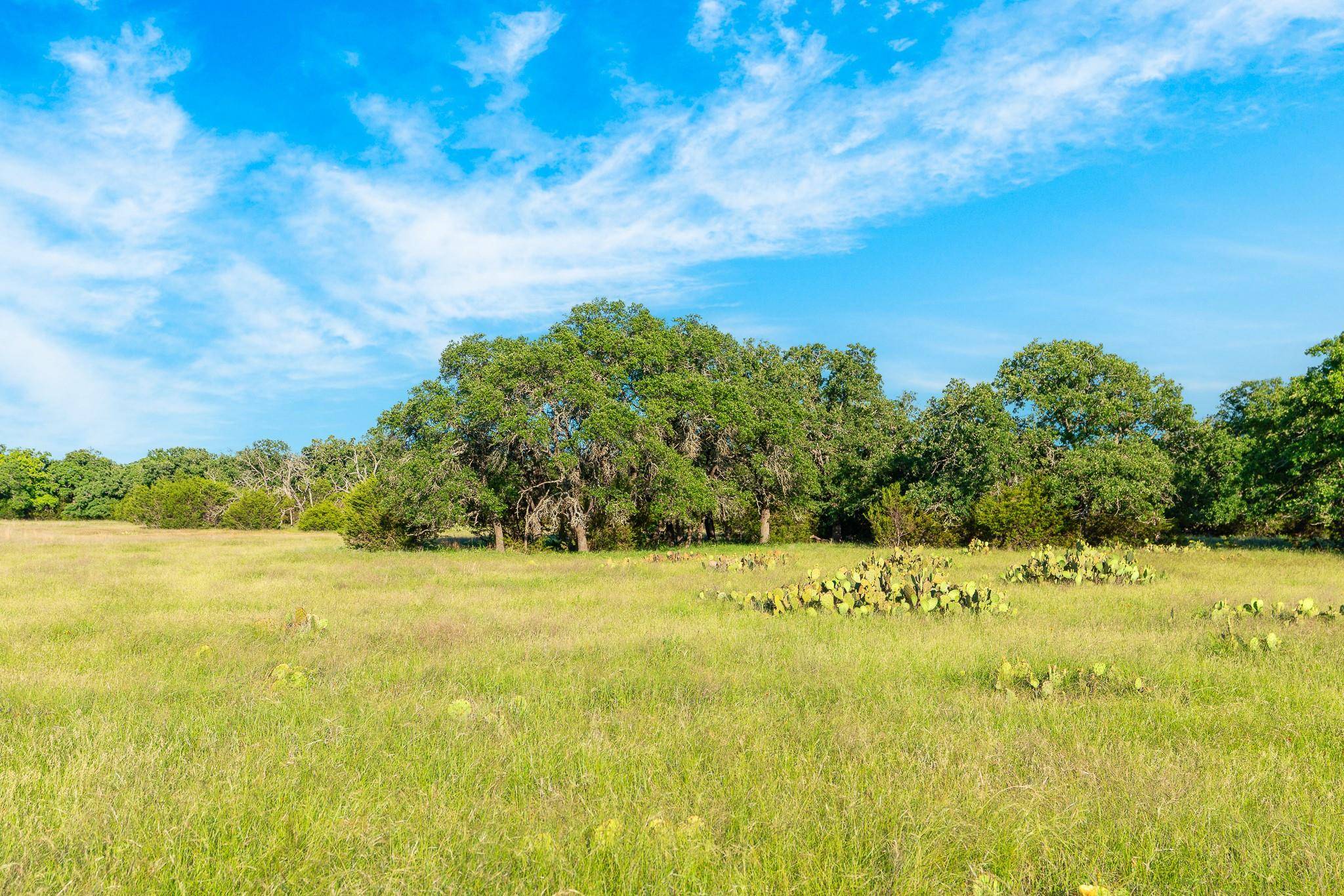 32 Feild Ranch RD, Burnet, TX 78611