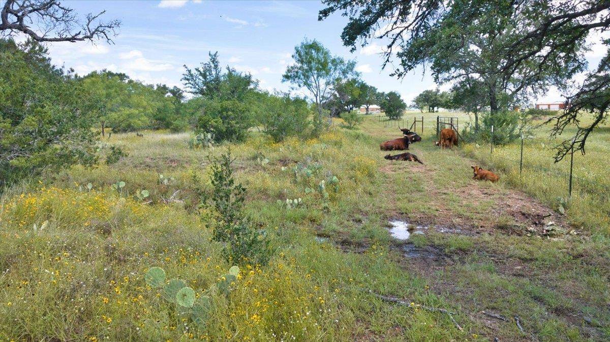 2144 CR 307, Kingsland, TX 78639