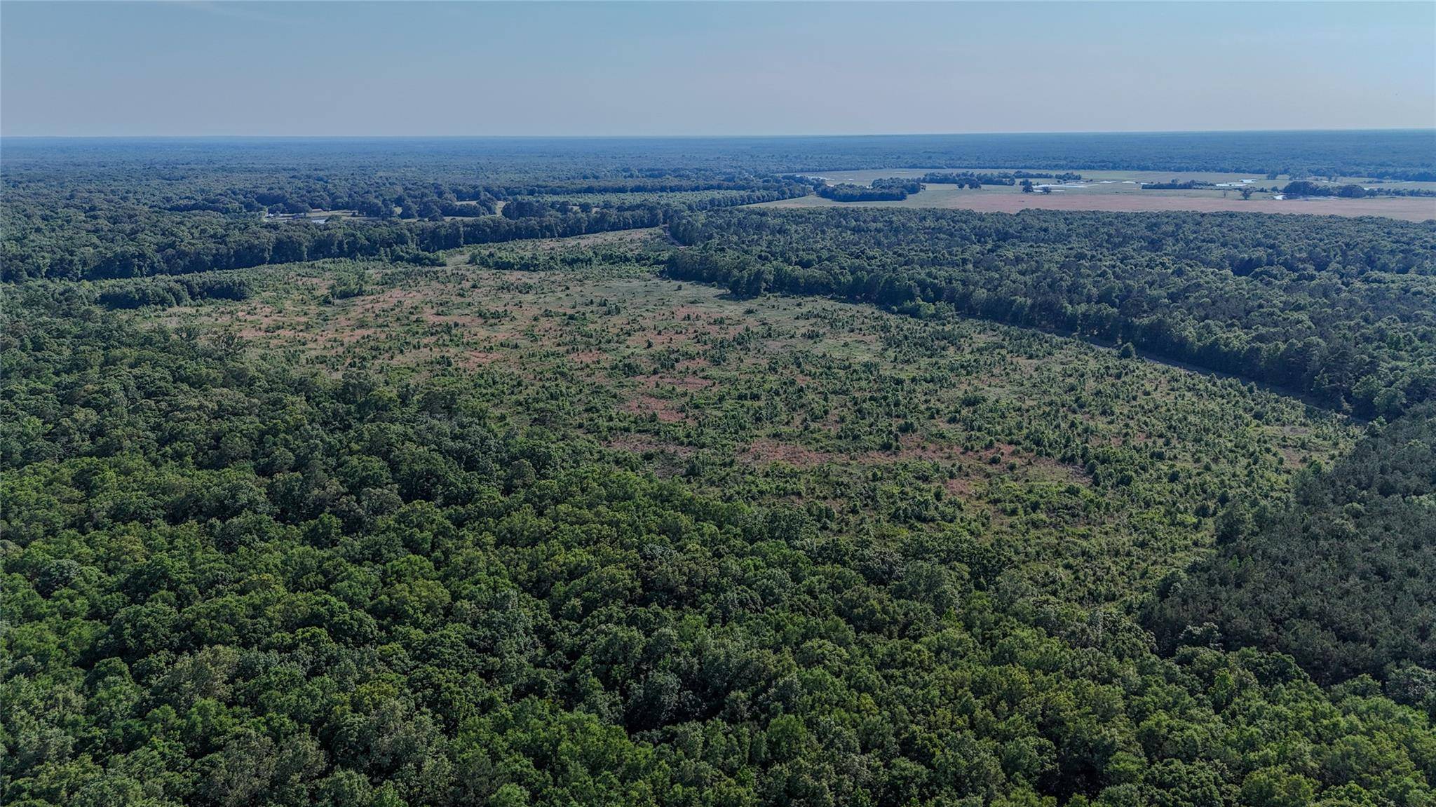 CR 4621 County Road 4621, Clarksville, TX 75550